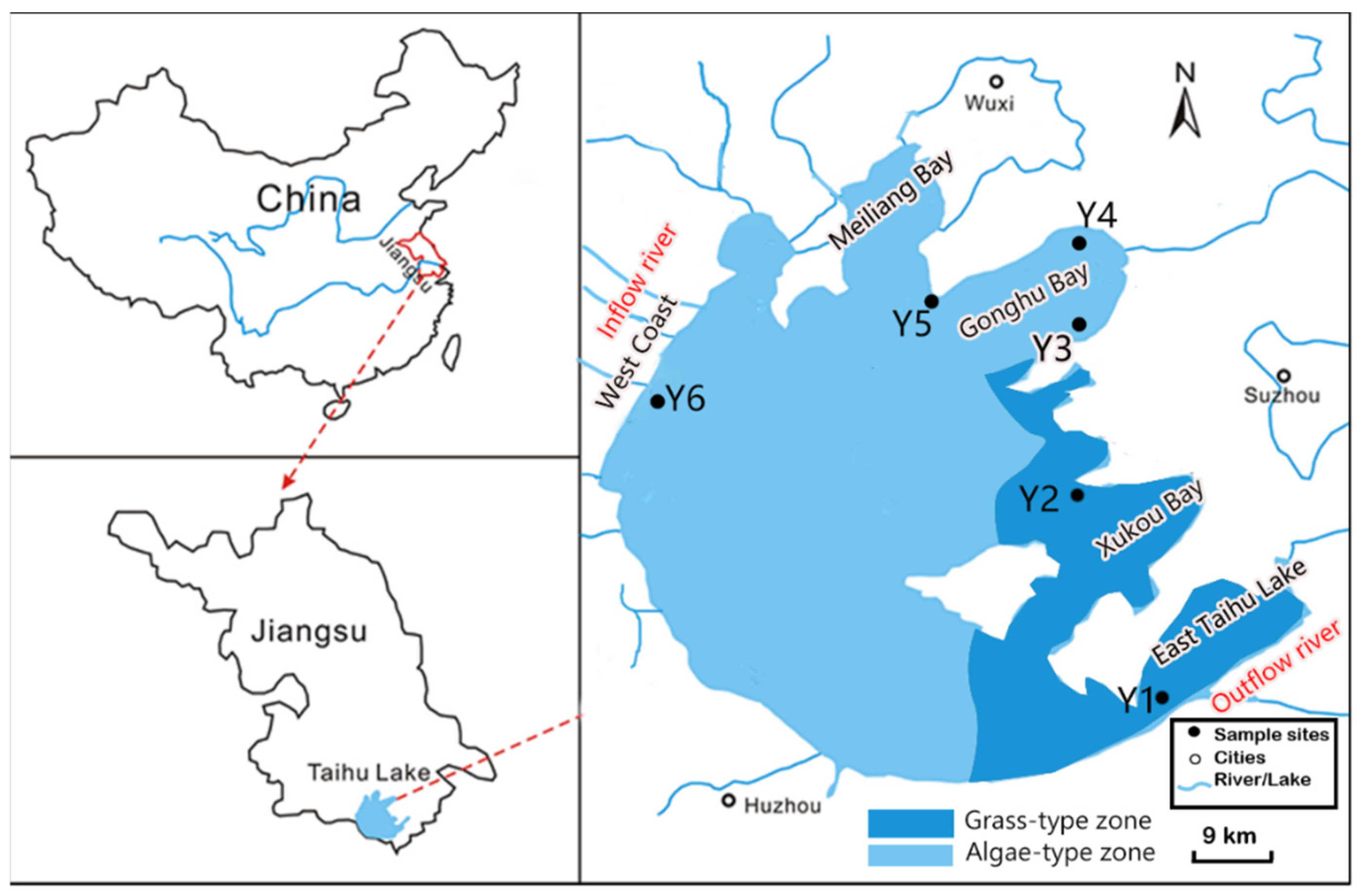 Ijerph 16 00929 g001