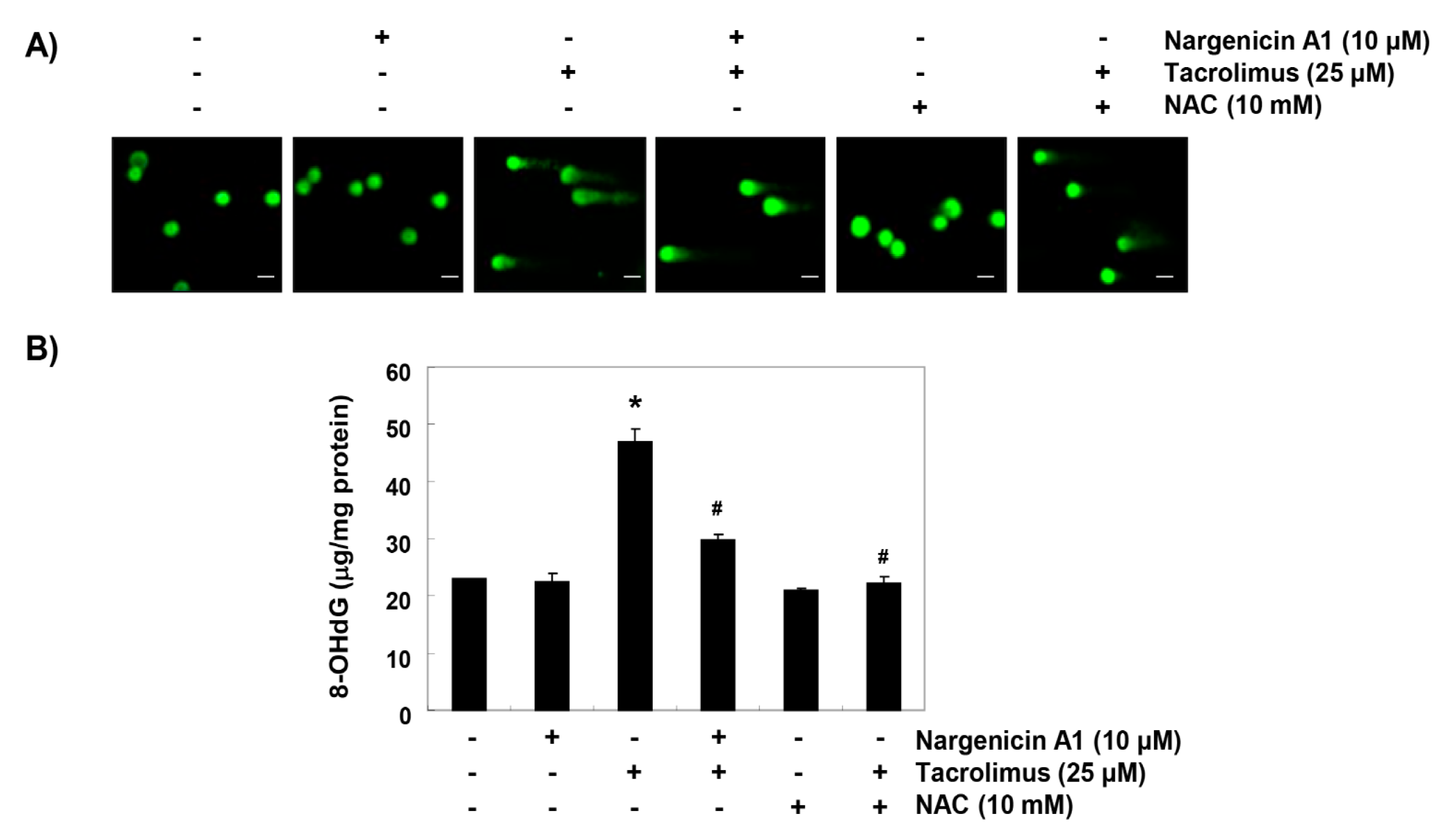 Ijerph 16 01044 g003