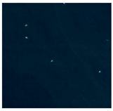 Ijerph 16 01248 i005