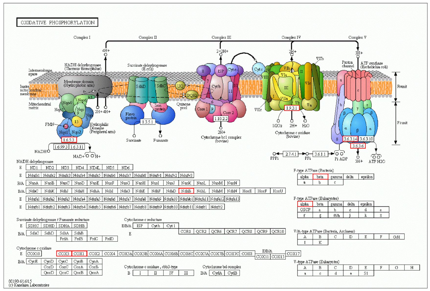 Ijerph 16 01374 g004