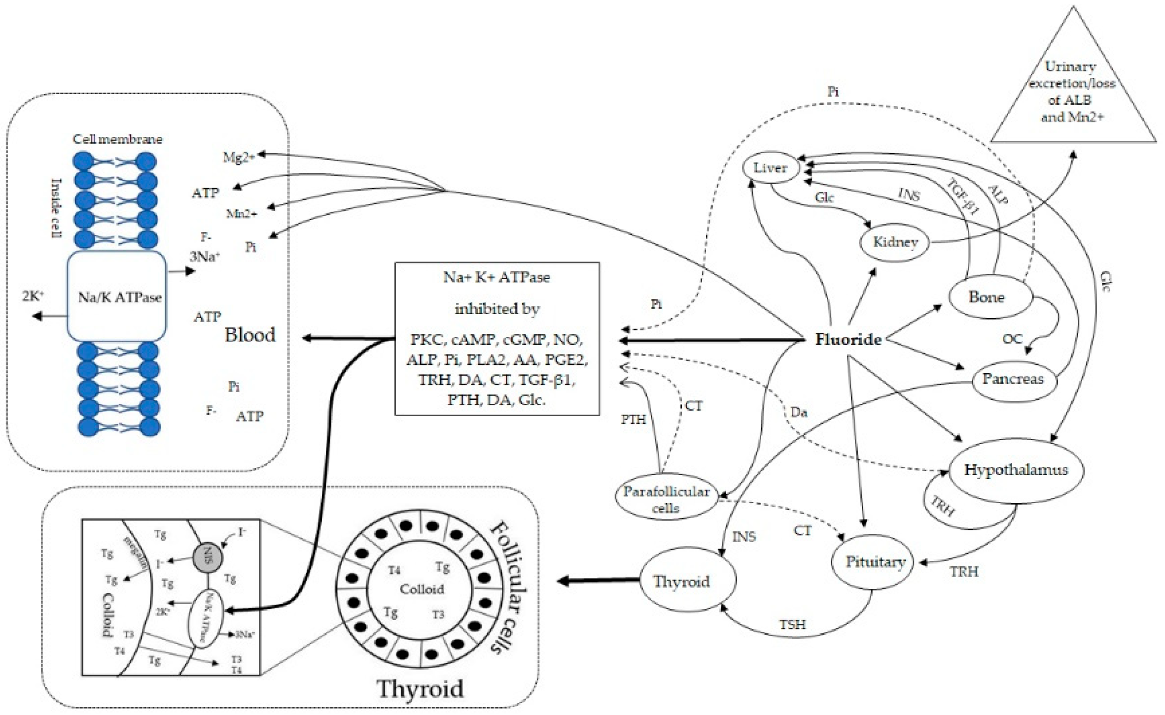 Ijerph 16 01427 g002