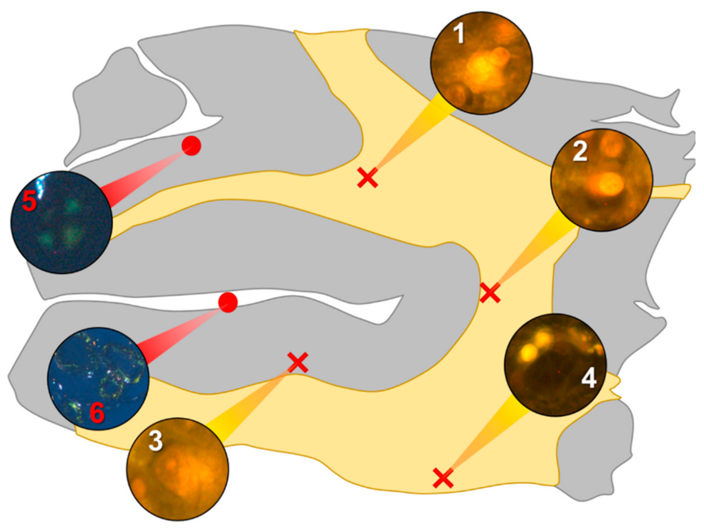 Ijerph 16 01459 g001