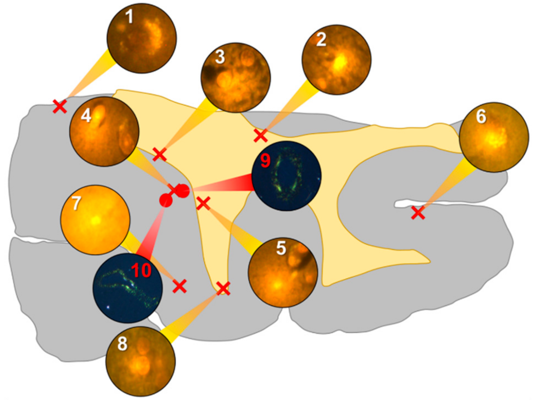 Ijerph 16 01459 g003