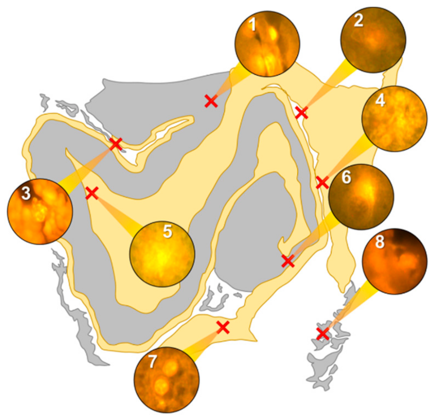 Ijerph 16 01459 g004