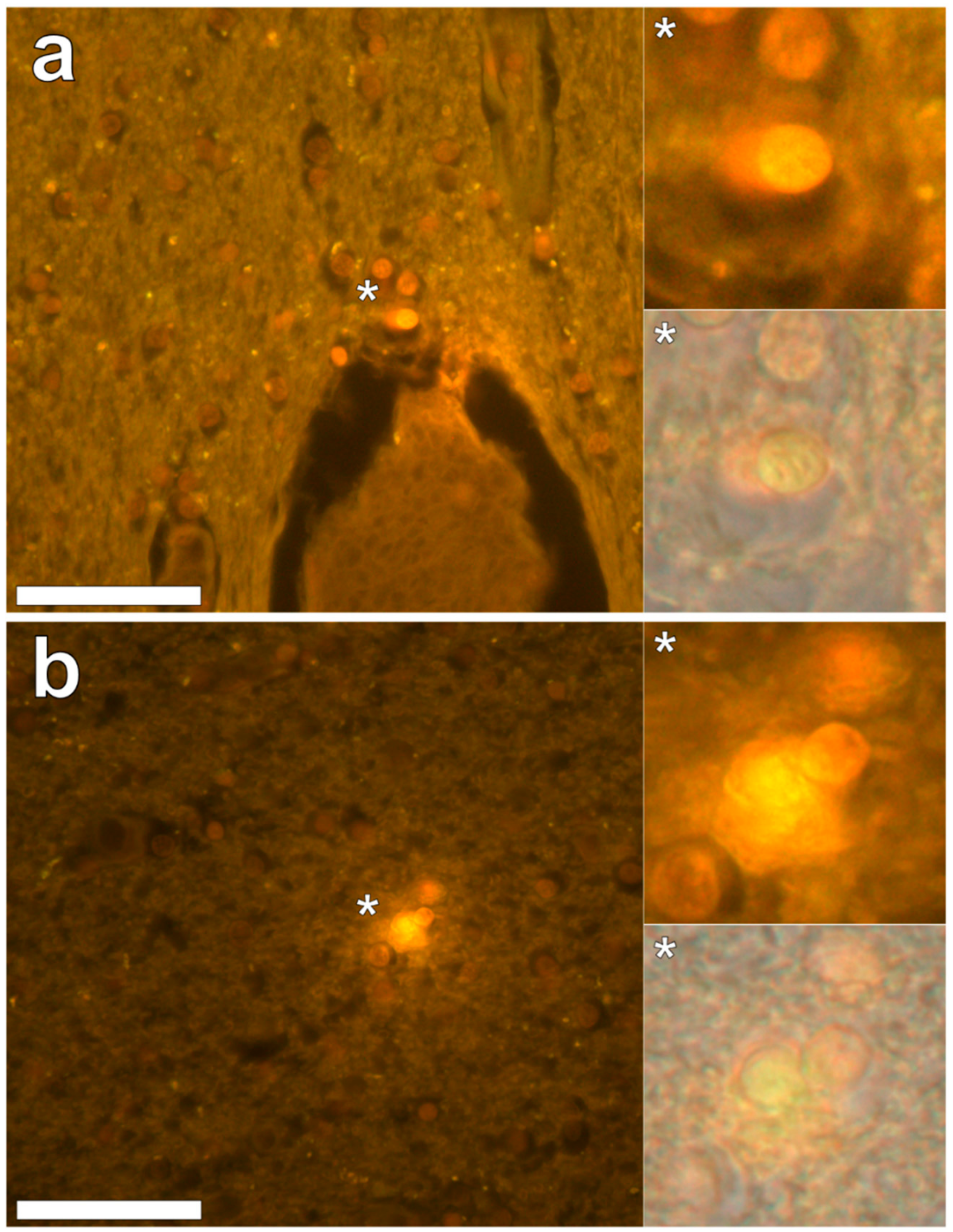 Ijerph 16 01459 g005