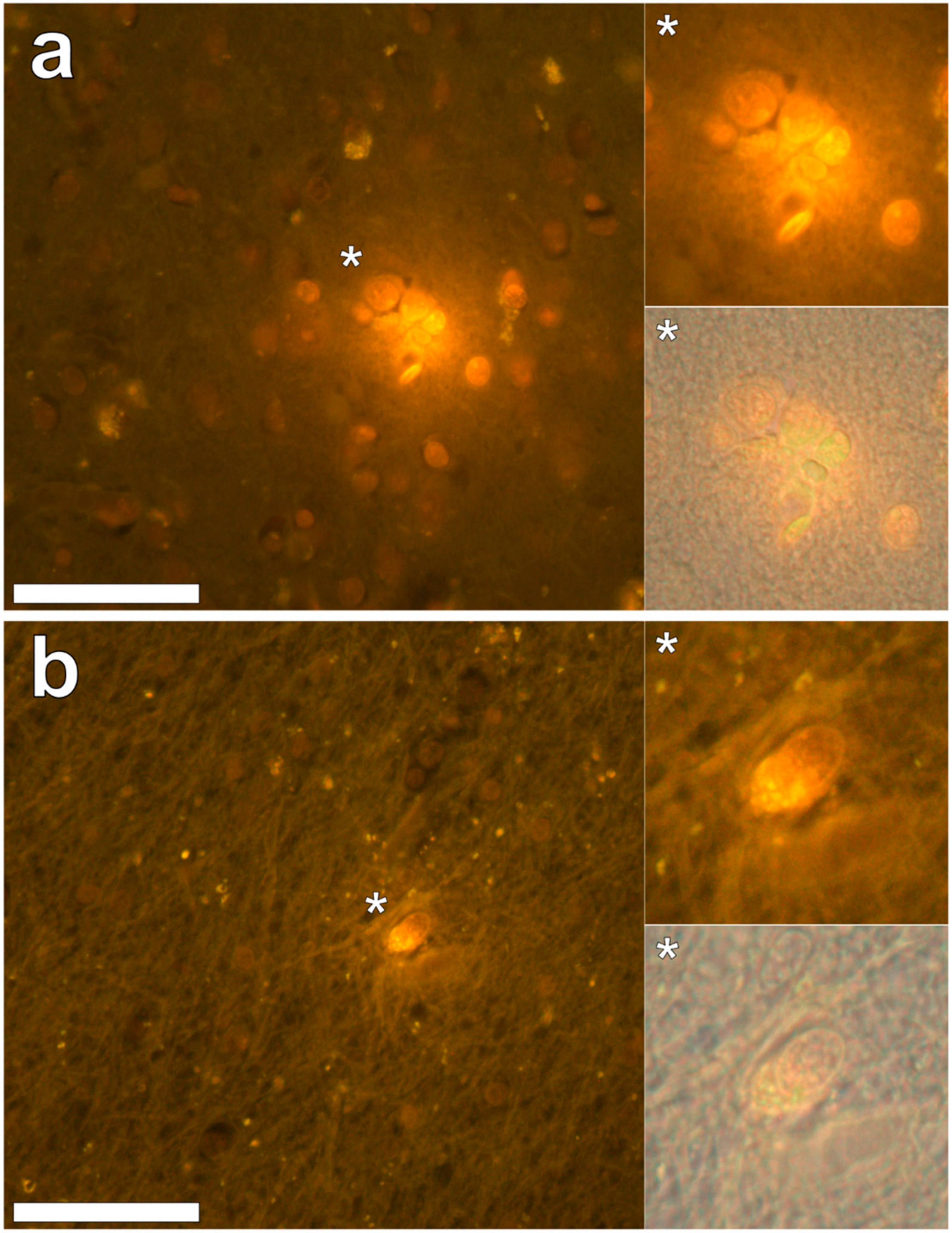 Ijerph 16 01459 g006