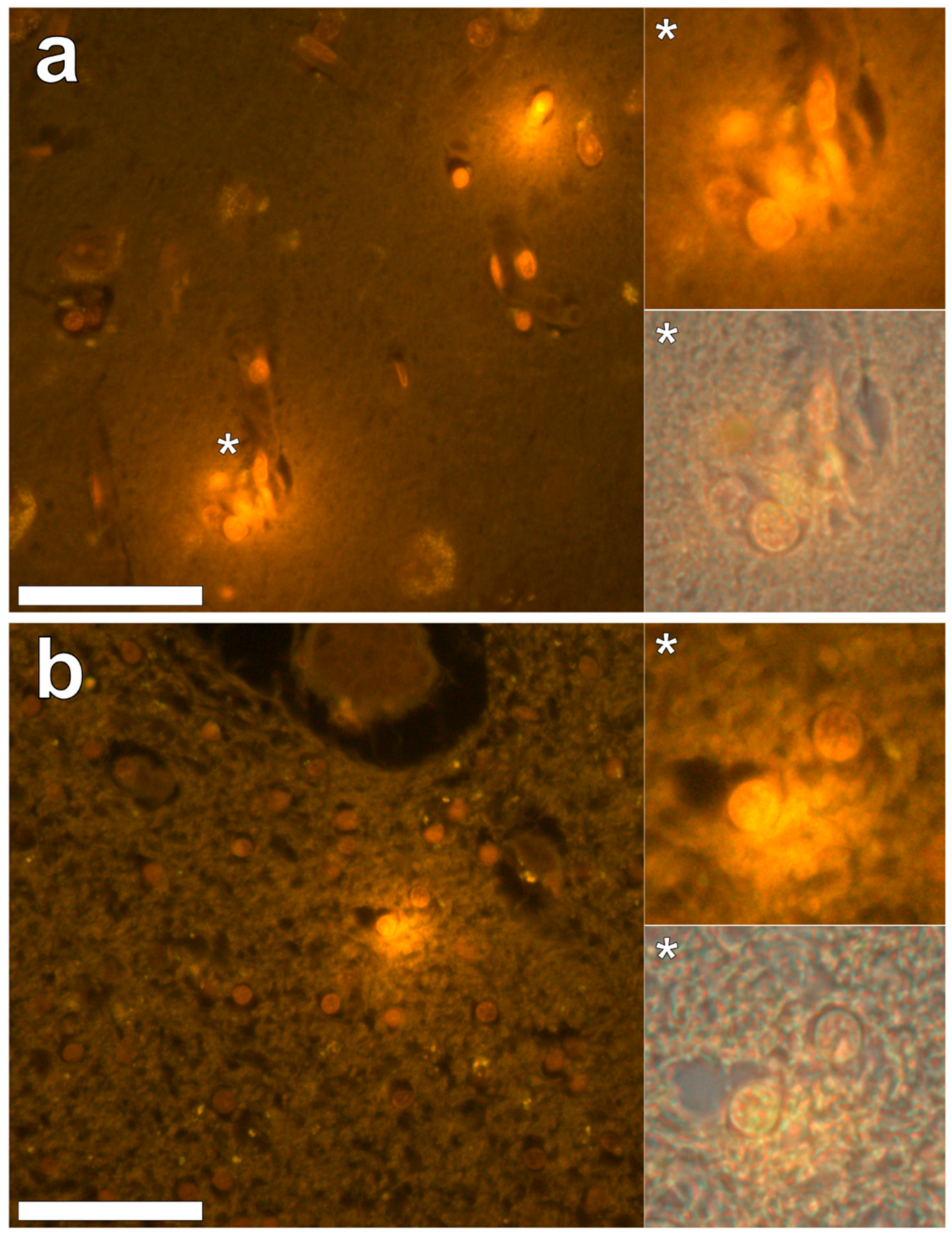 Ijerph 16 01459 g007