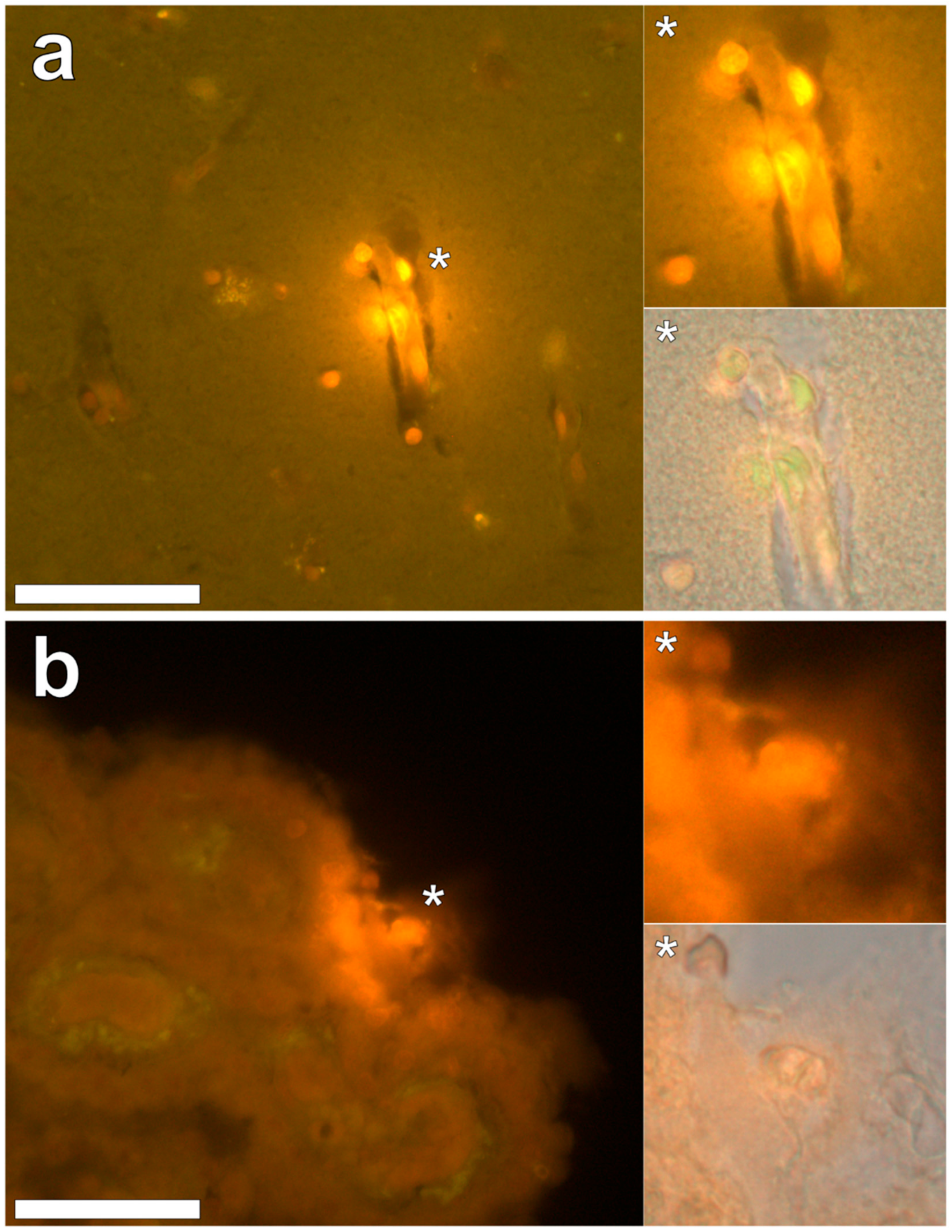 Ijerph 16 01459 g008