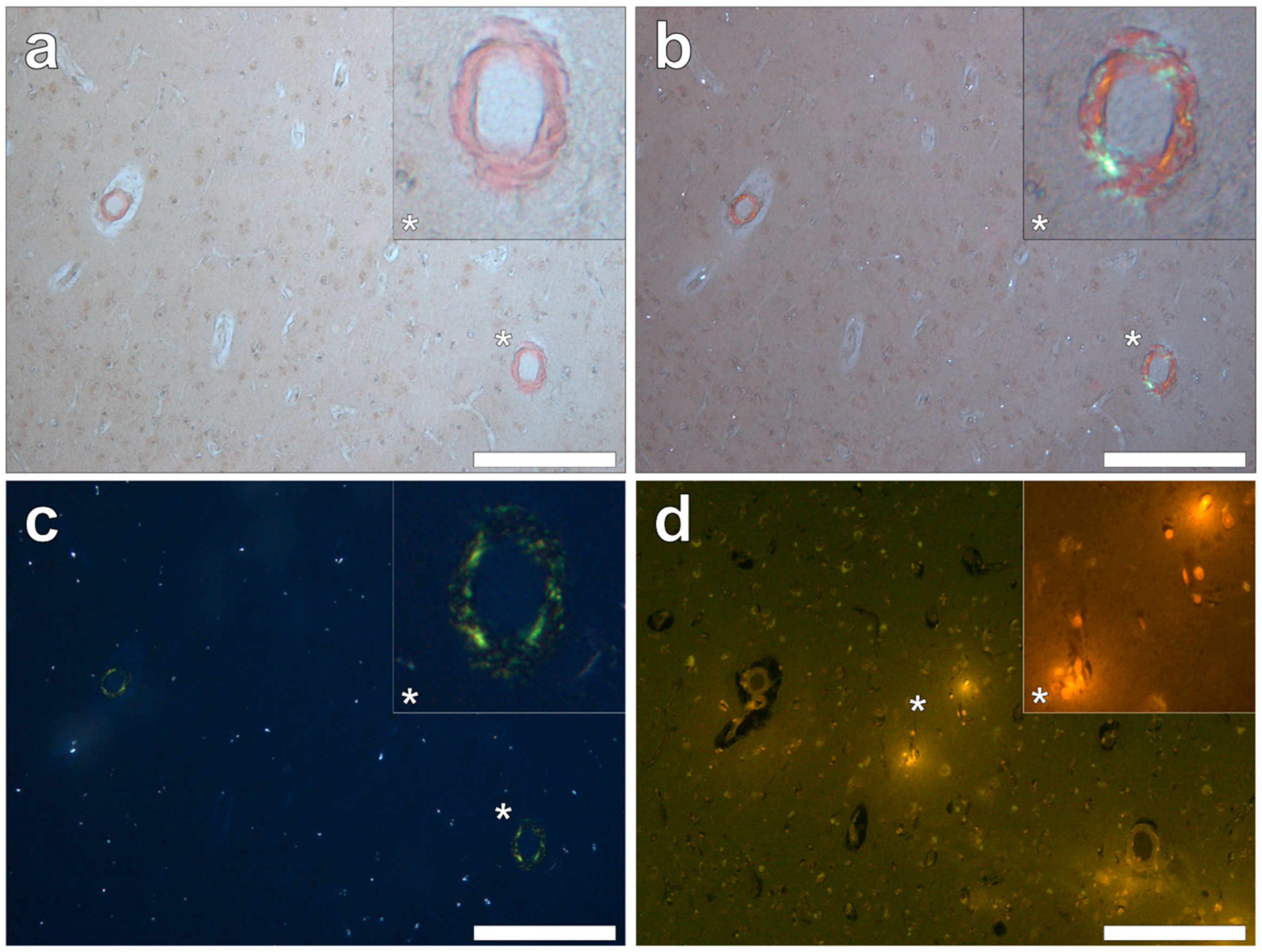 Ijerph 16 01459 g009
