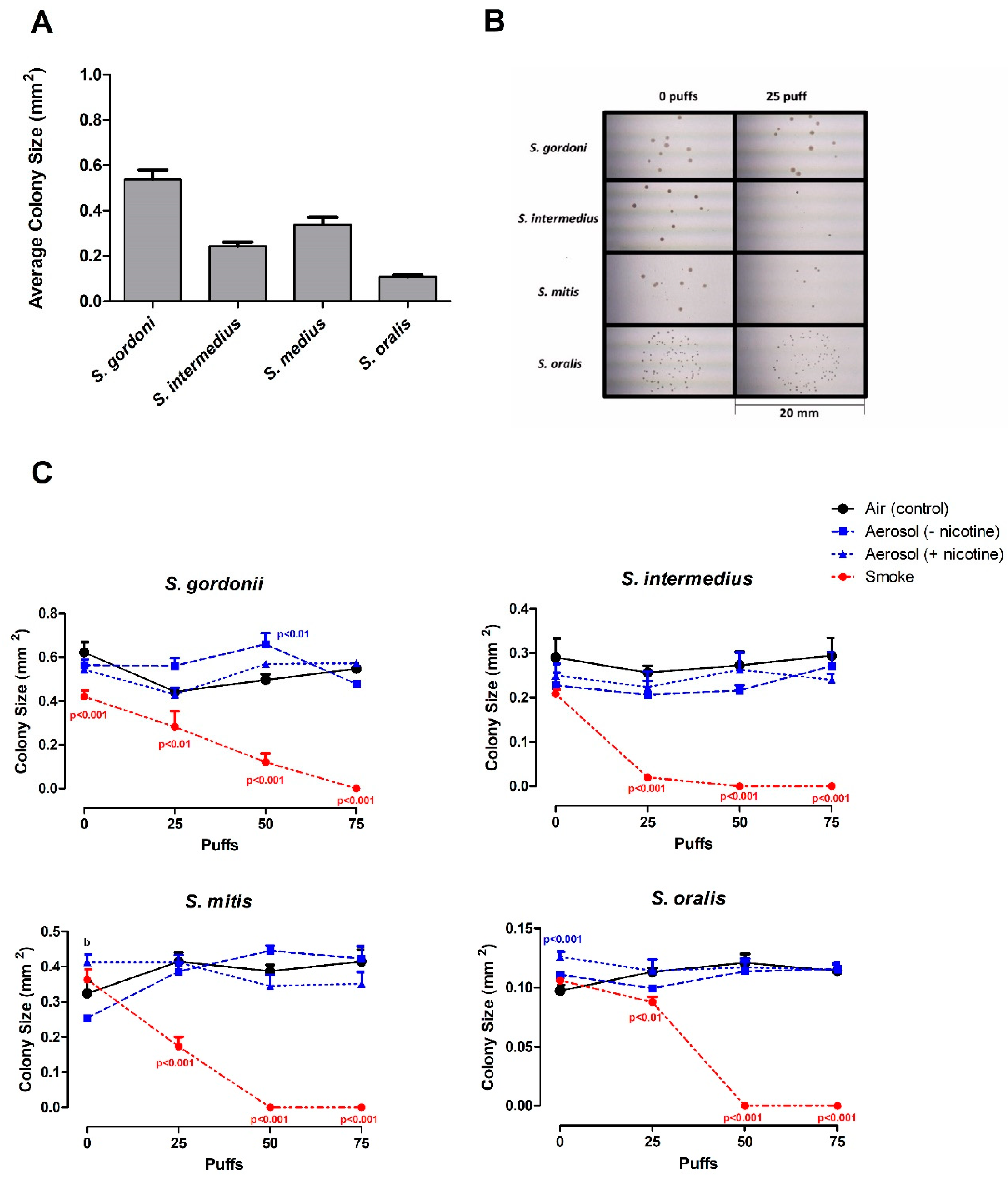 Ijerph 16 01669 g004