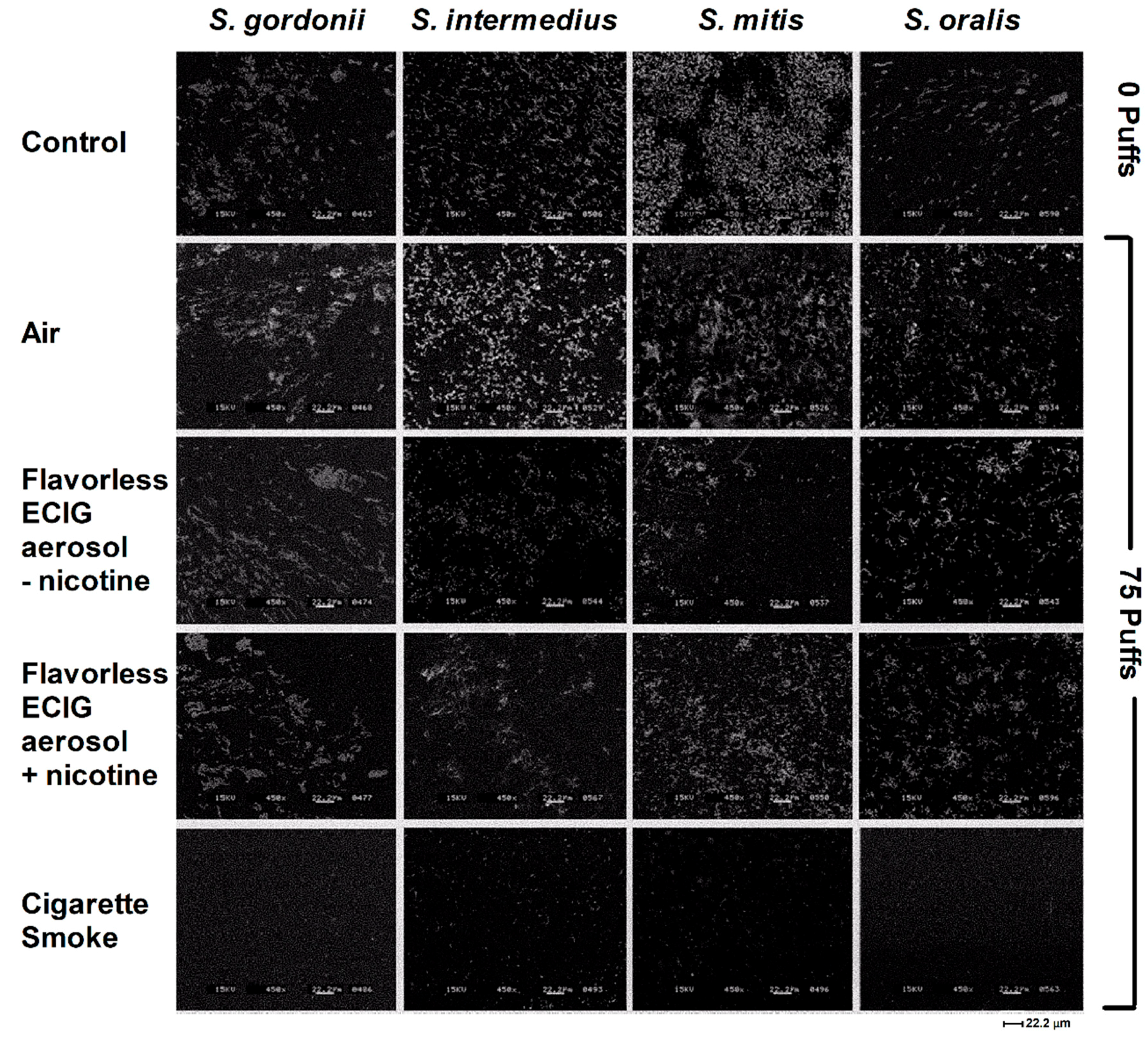 Ijerph 16 01669 g005