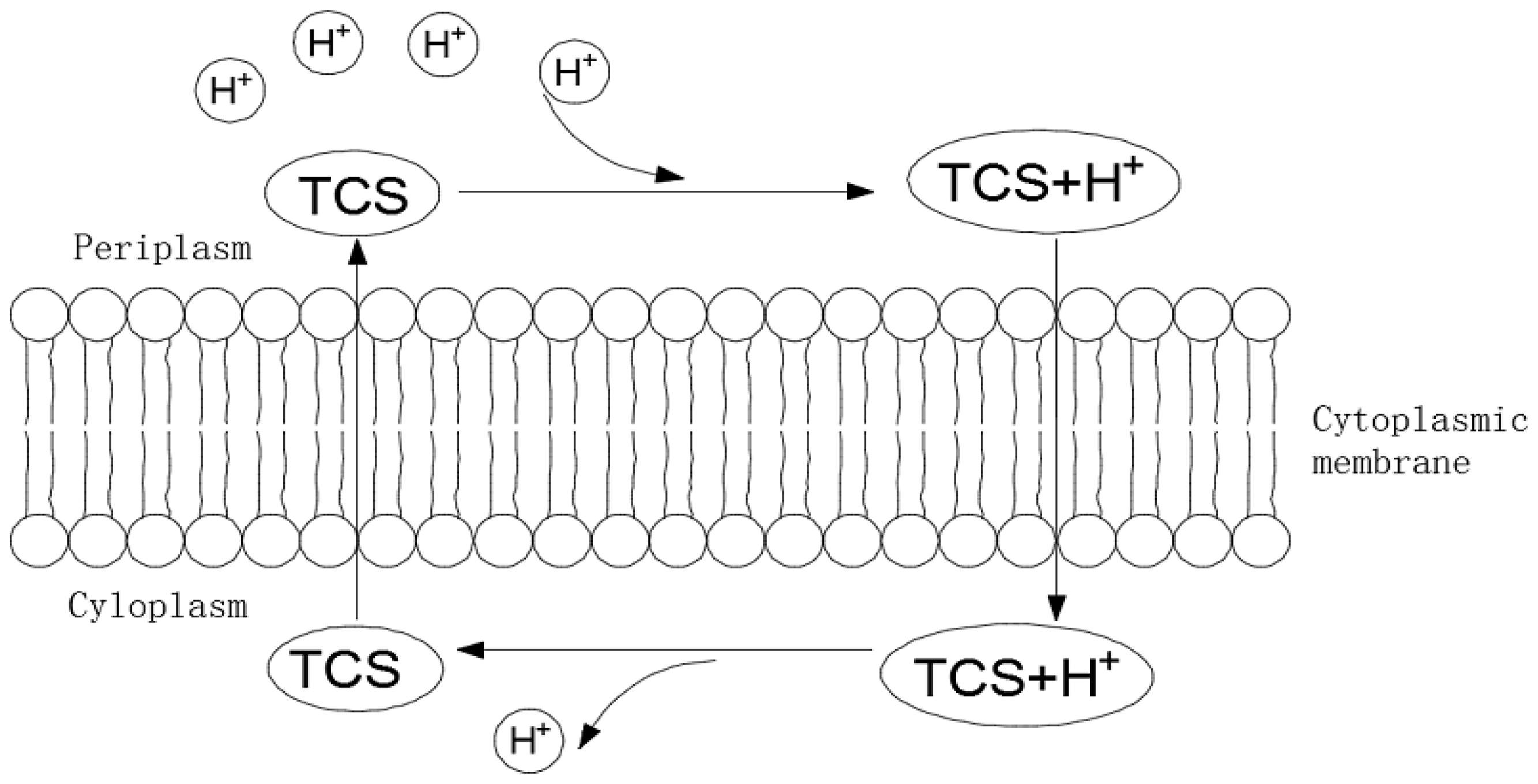 Ijerph 16 01686 g005