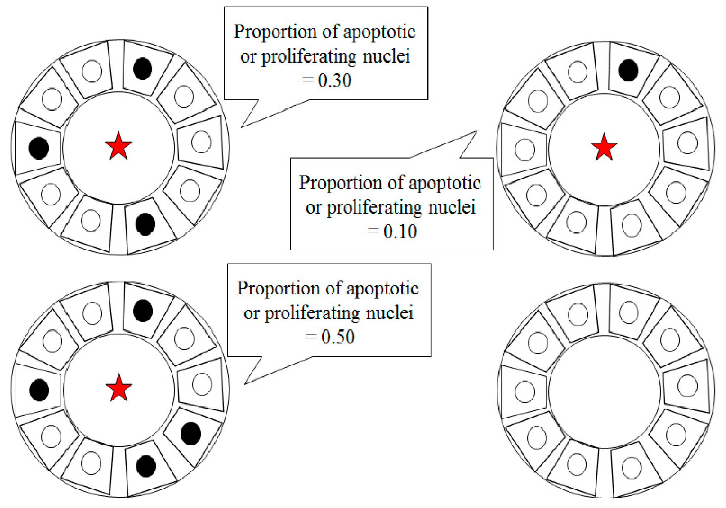 Ijerph 16 01726 g001