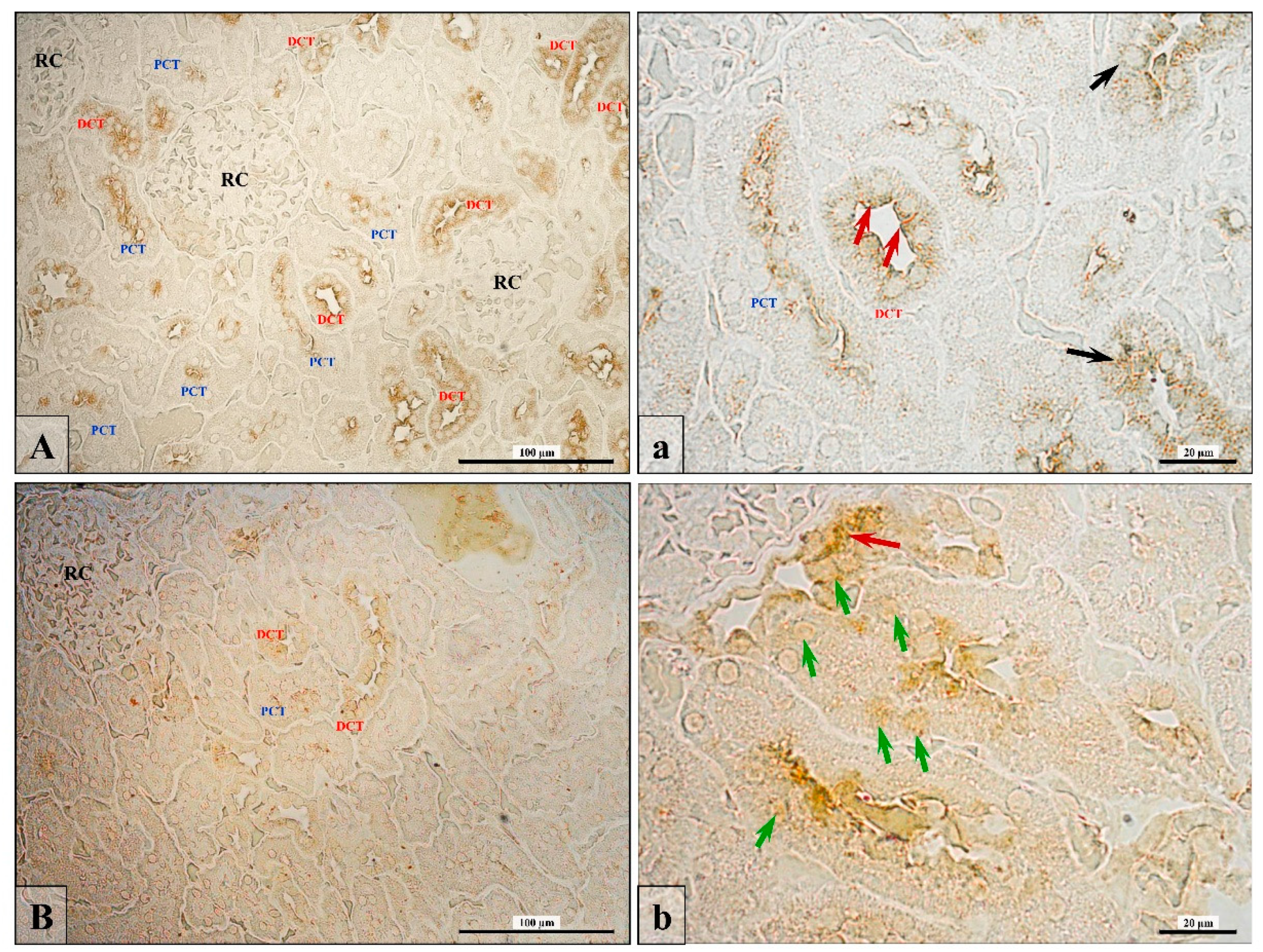 Ijerph 16 01726 g002