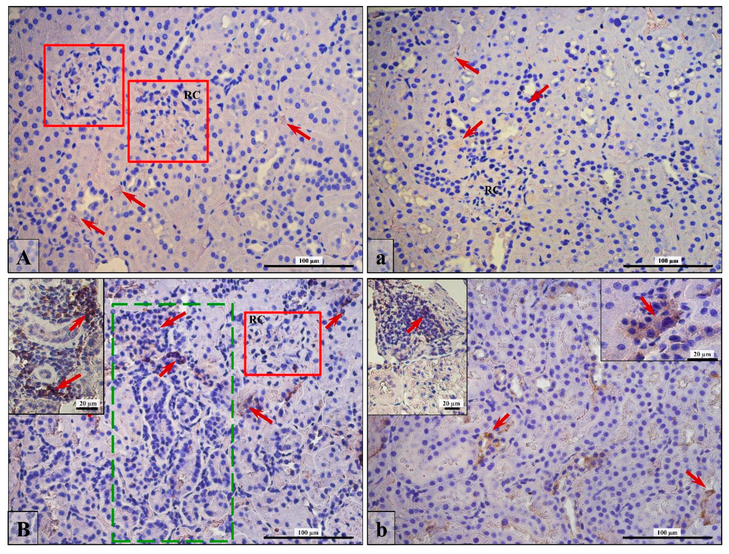 Ijerph 16 01726 g004