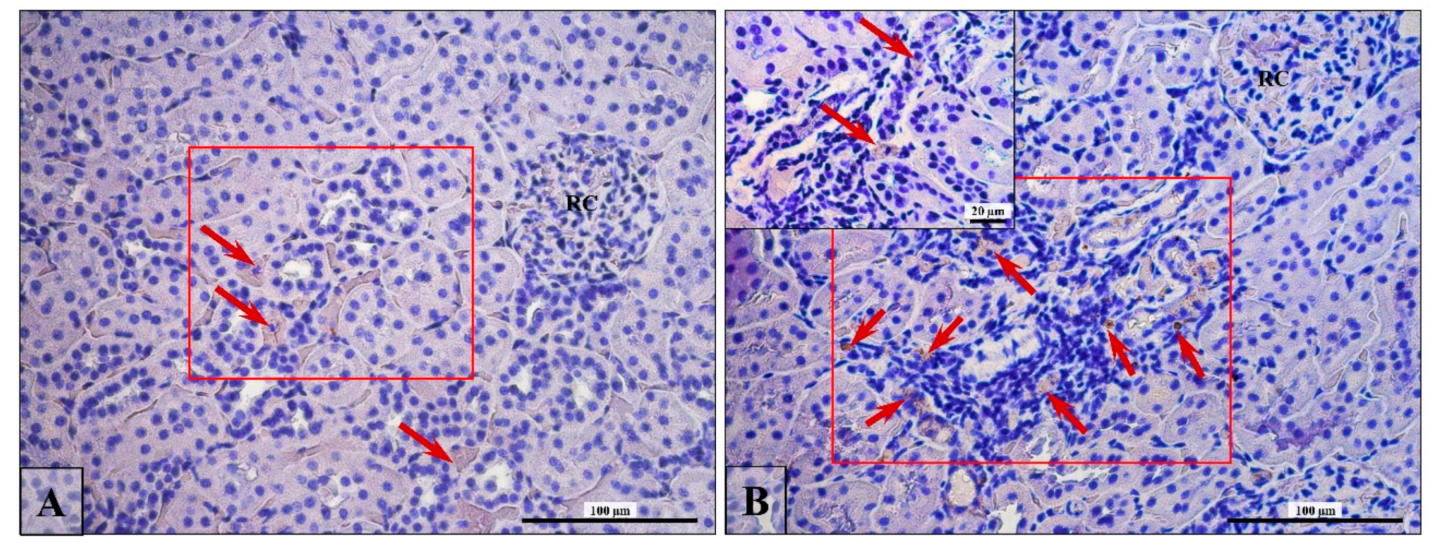 Ijerph 16 01726 g005