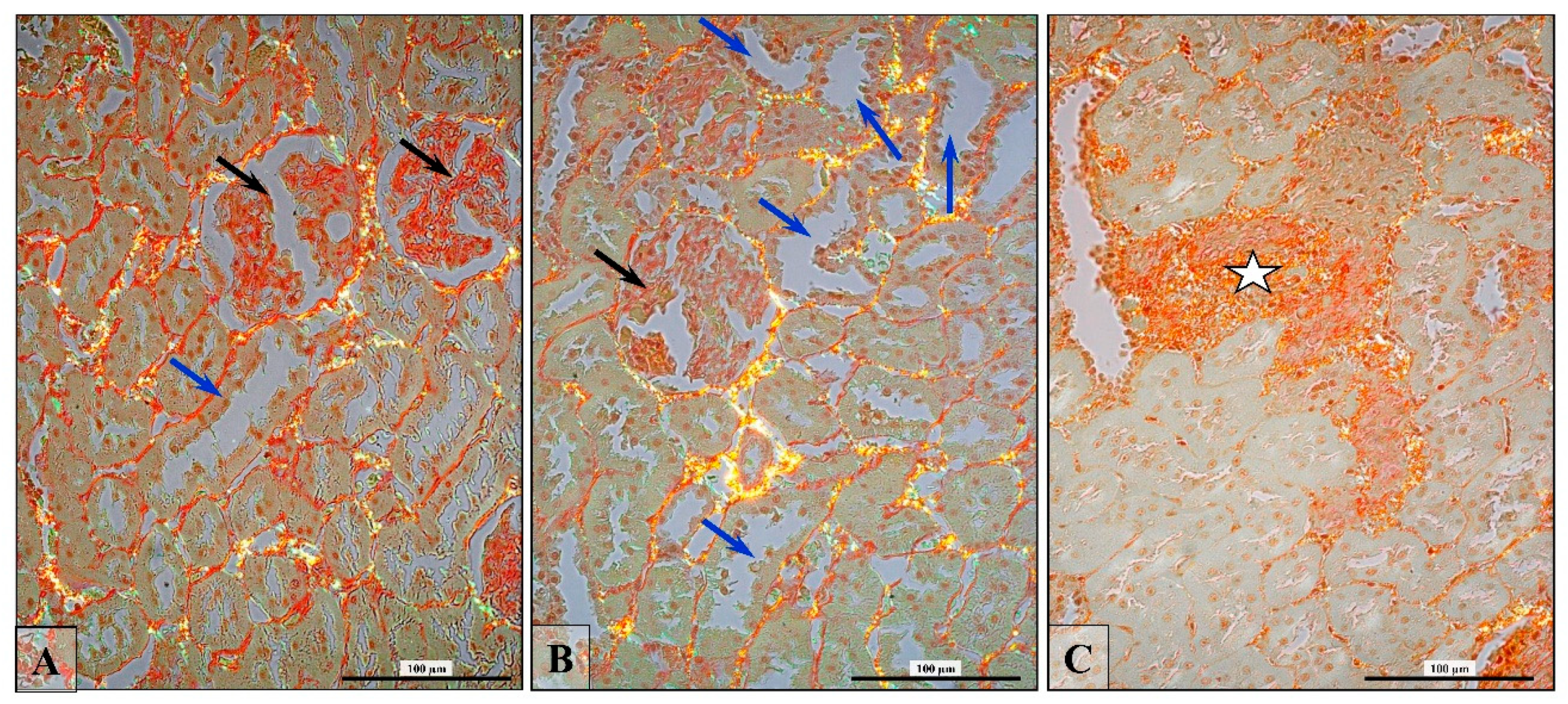 Ijerph 16 01726 g007