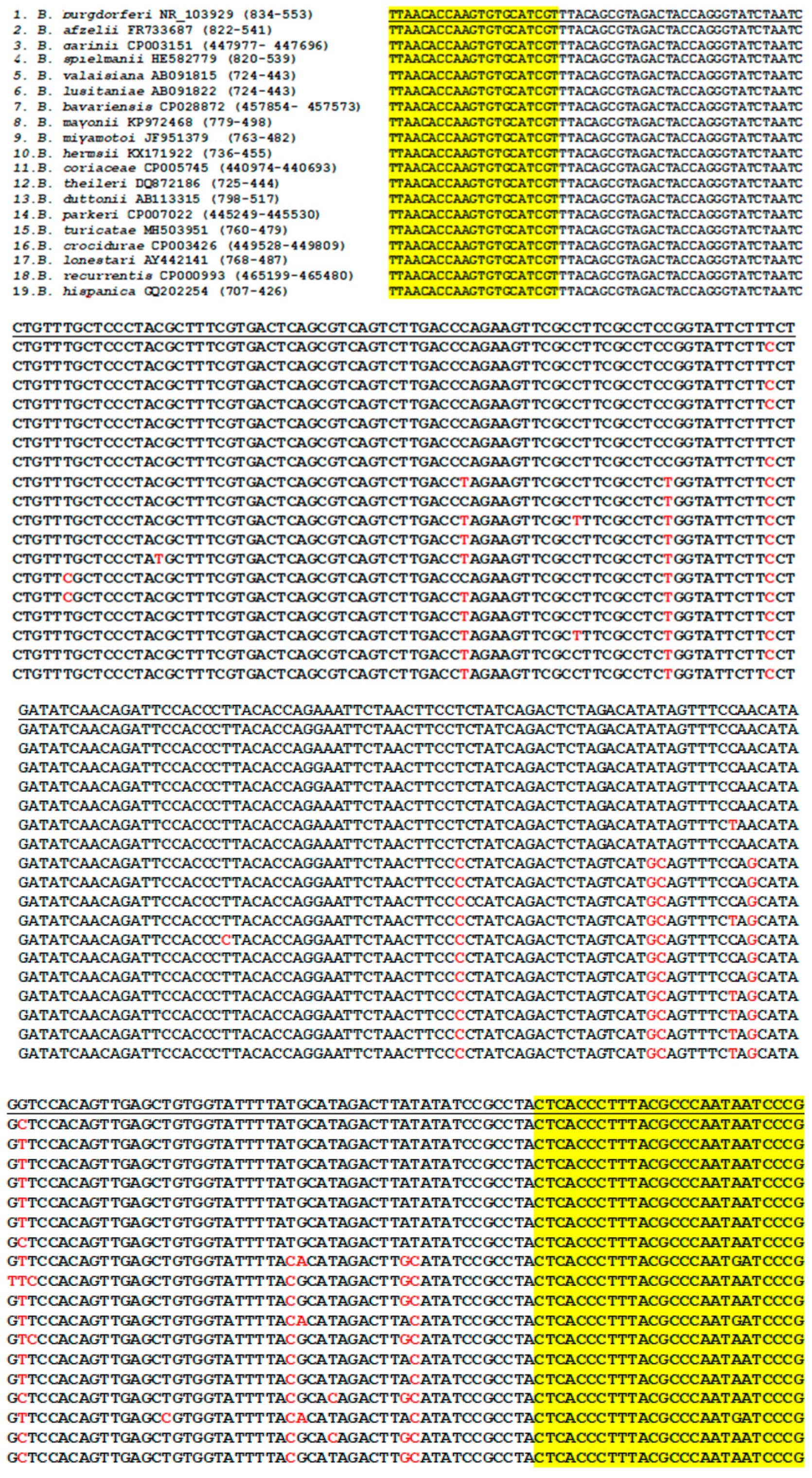 Ijerph 16 01779 g002