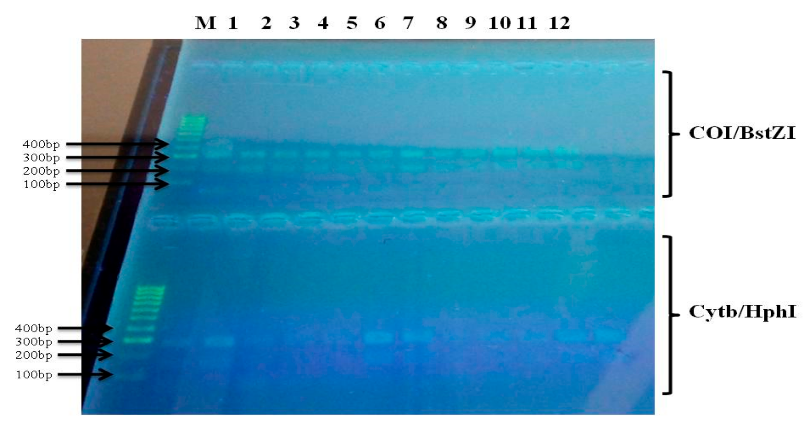 Ijerph 16 01882 g003