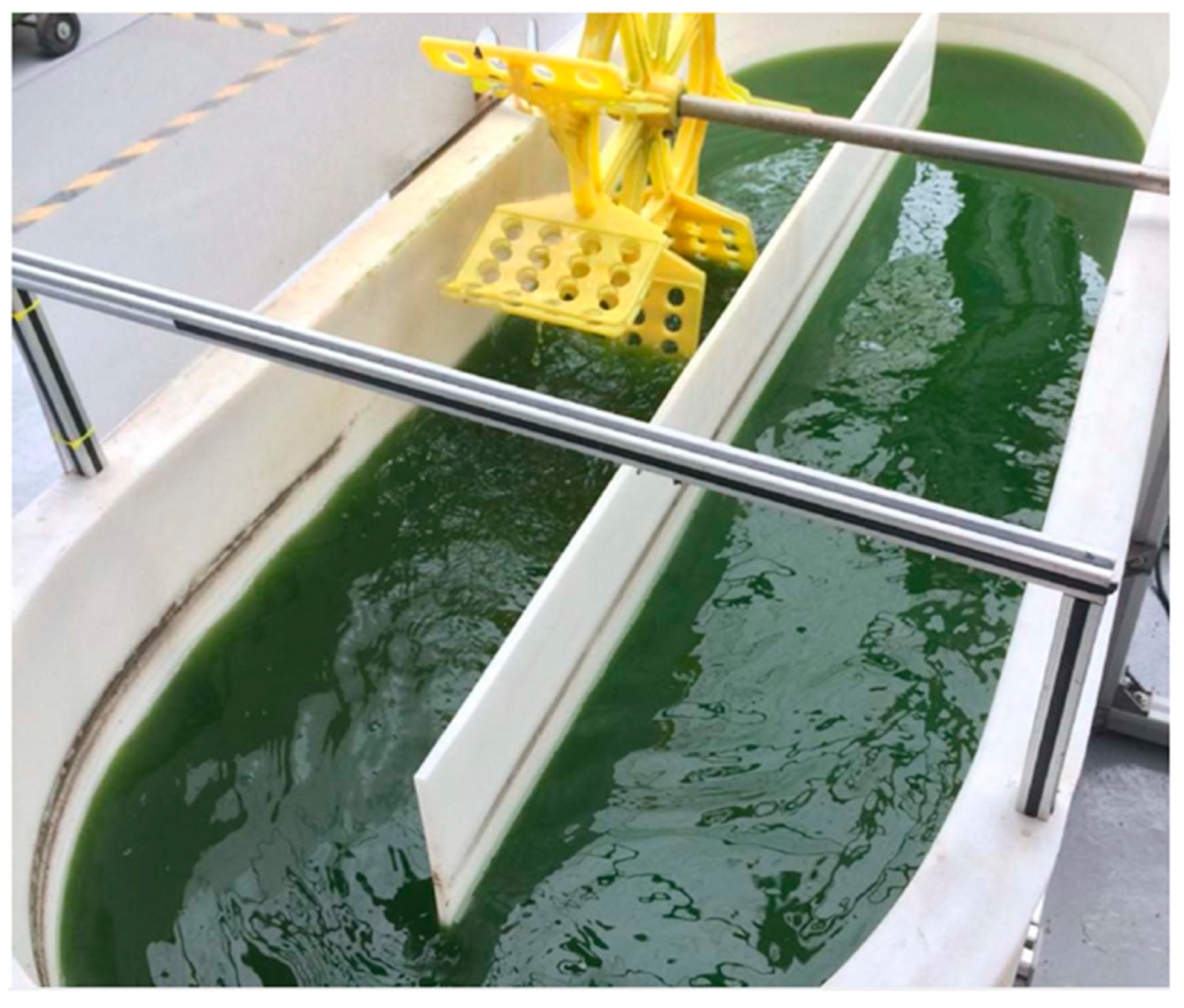 Ijerph 16 01910 g002