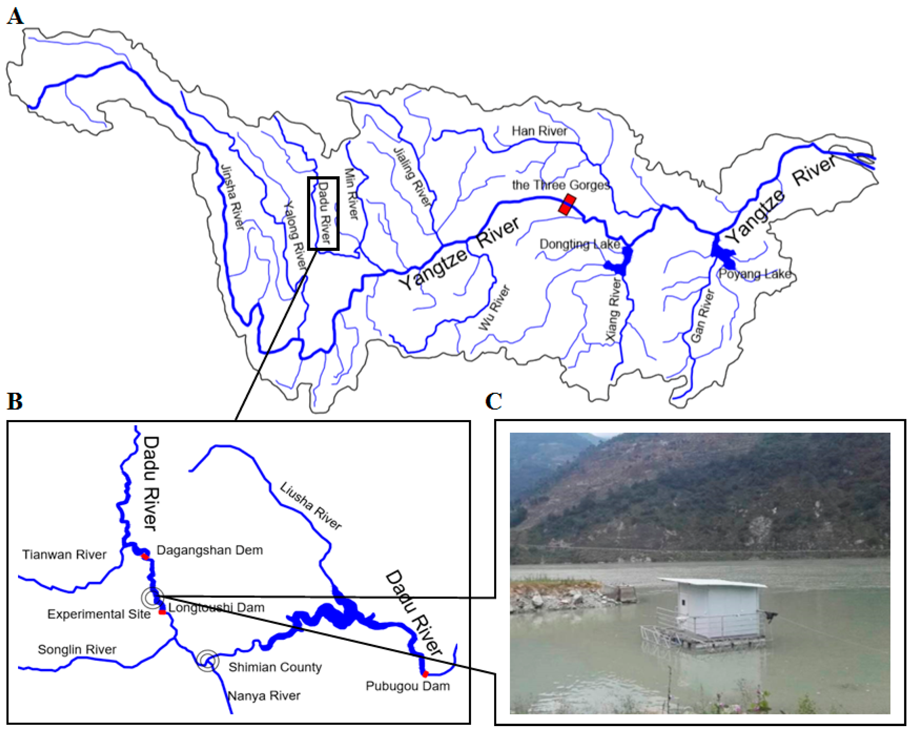 Ijerph 16 02021 g001