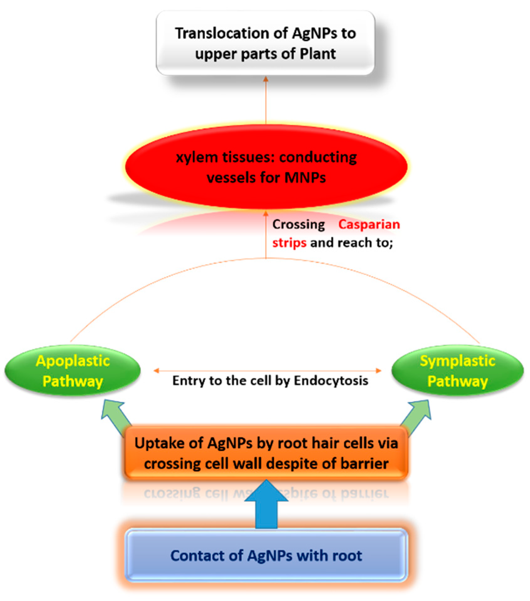 Ijerph 16 02261 g001