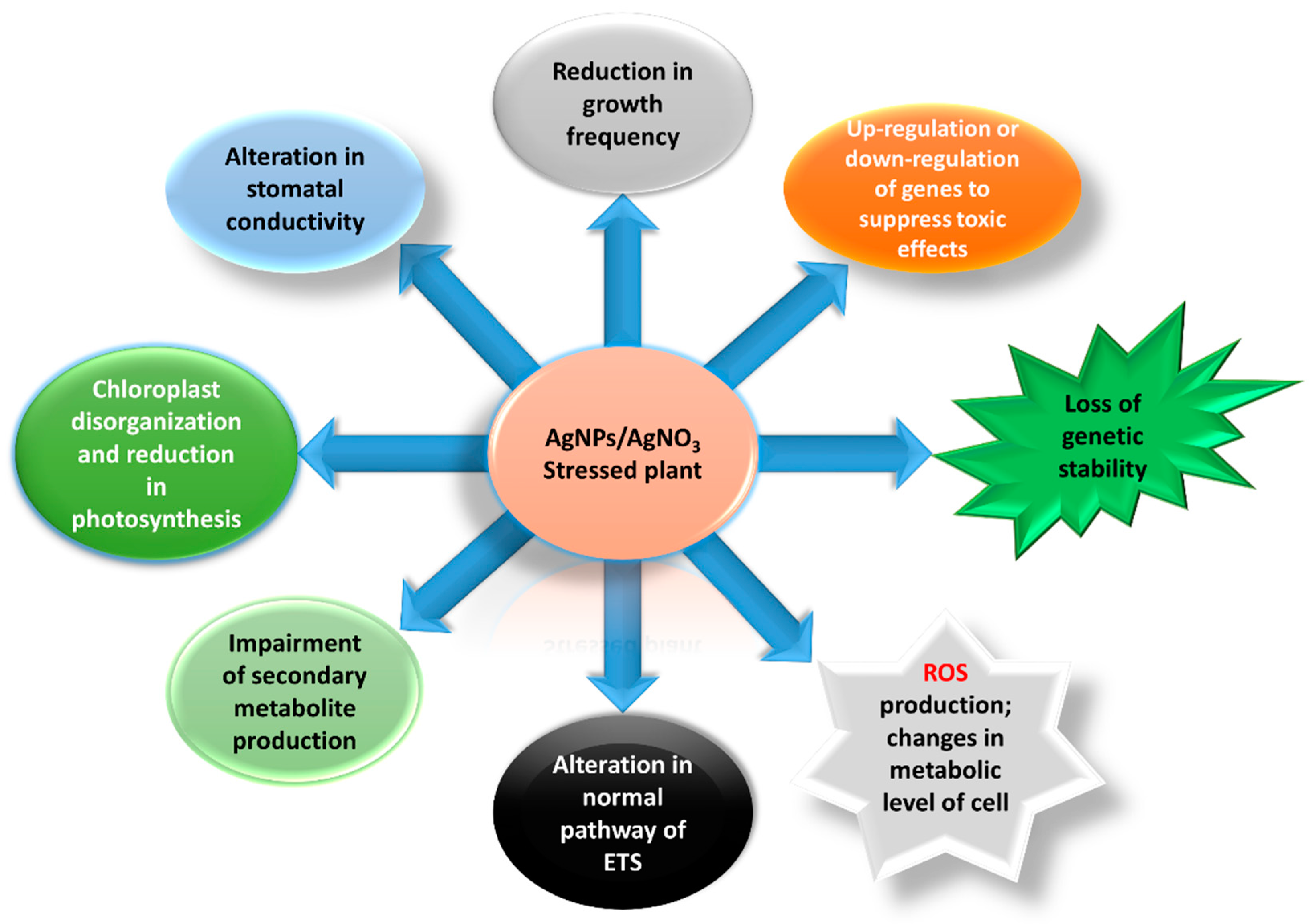 Ijerph 16 02261 g002