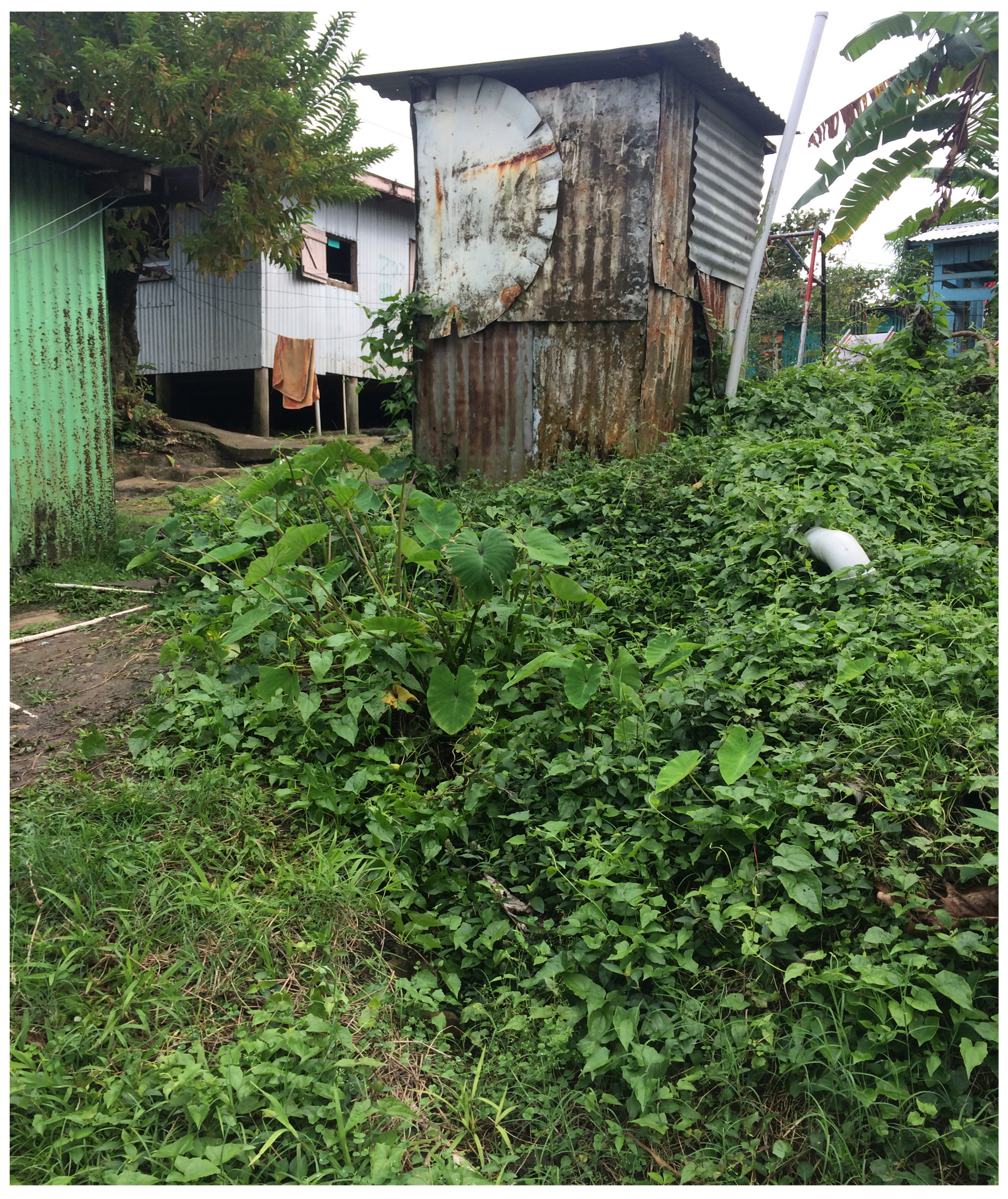 Ijerph 16 02407 g005