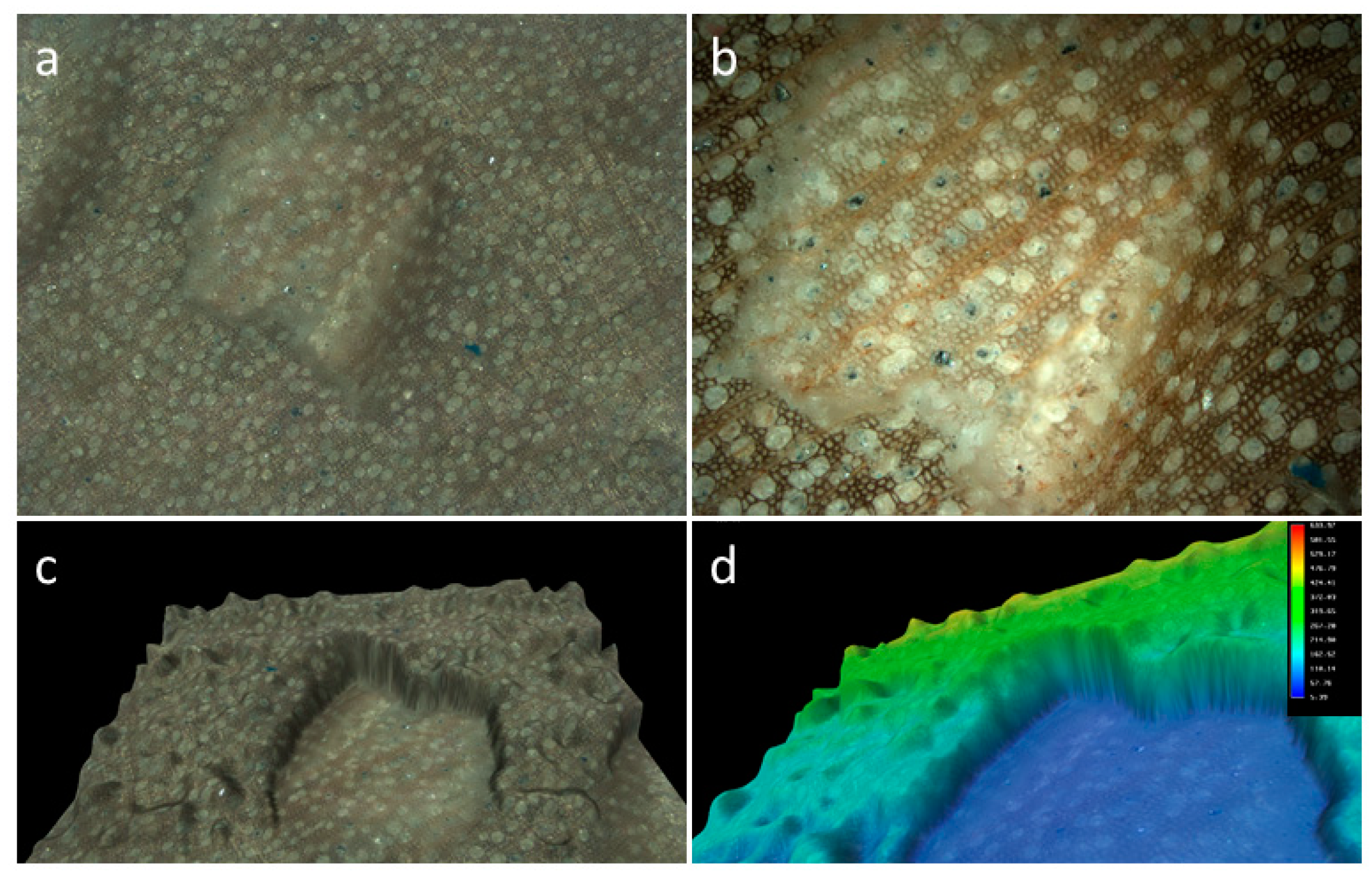 Ijerph 16 02434 g005 Ijerph 16 02434 g005