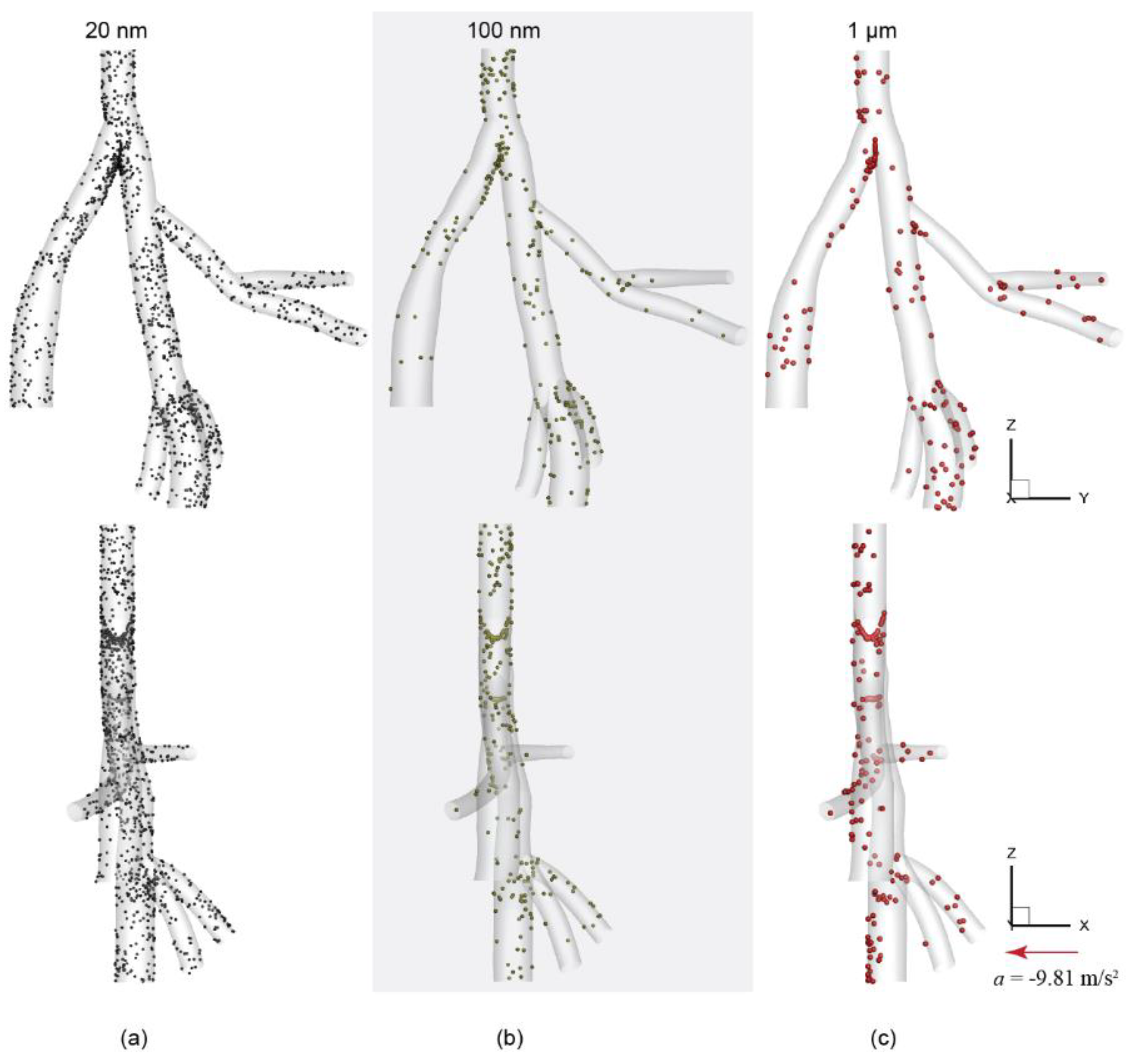 Ijerph 16 02571 g004