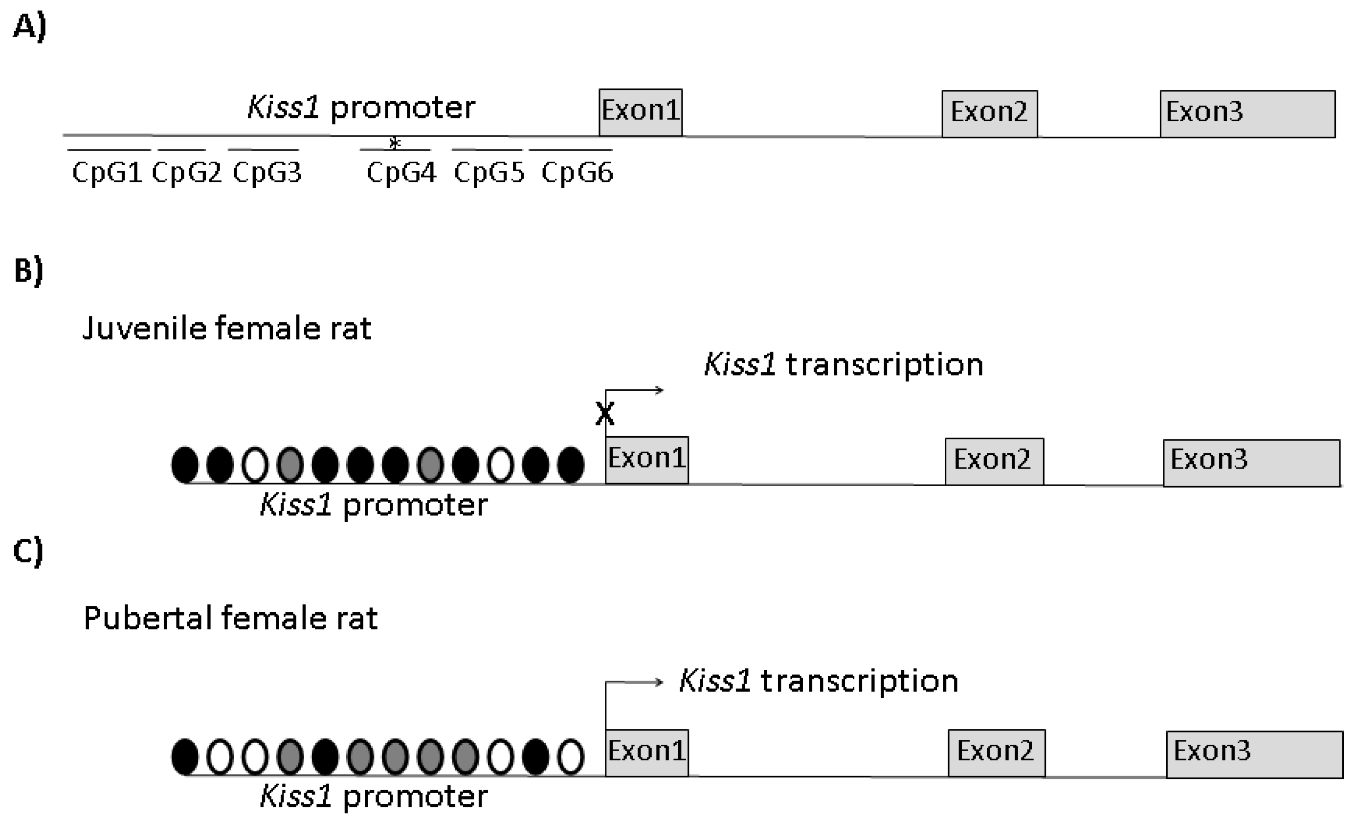 Ijerph 16 02607 g001