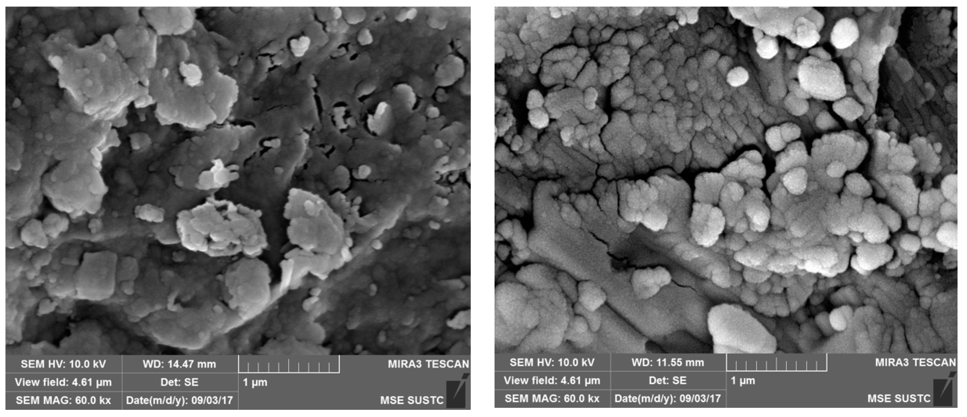 Ijerph 16 02637 g002