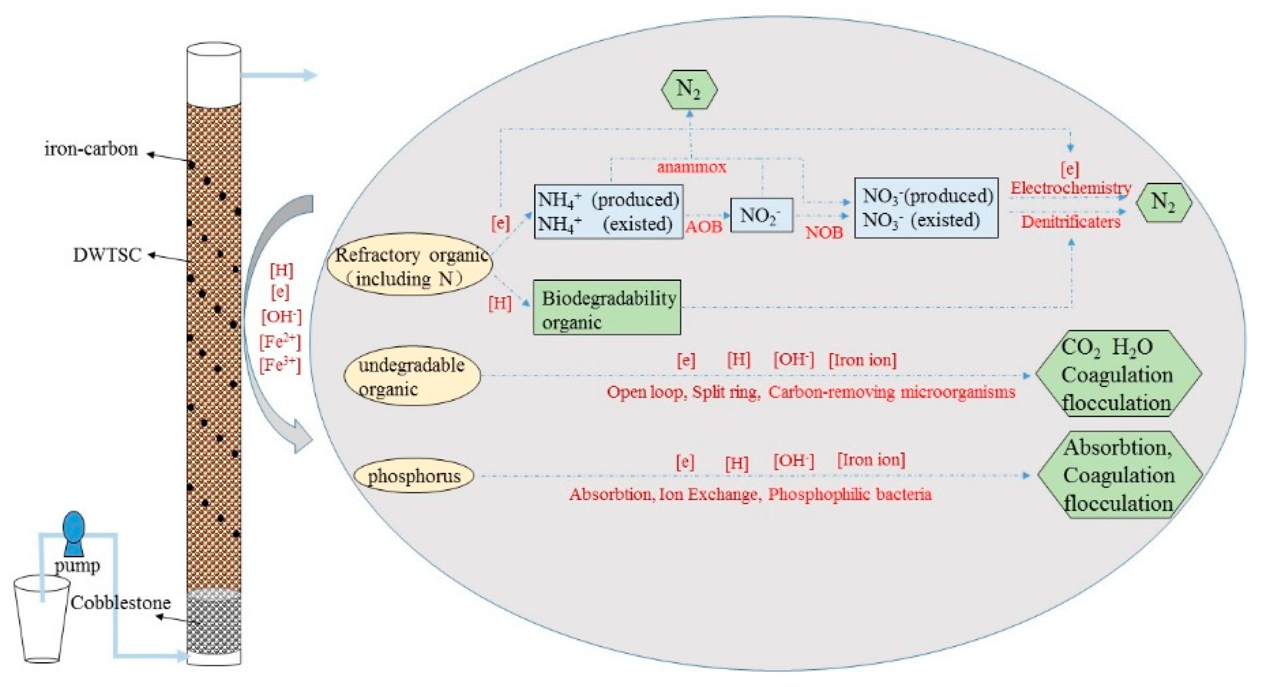 Ijerph 16 02646 g005