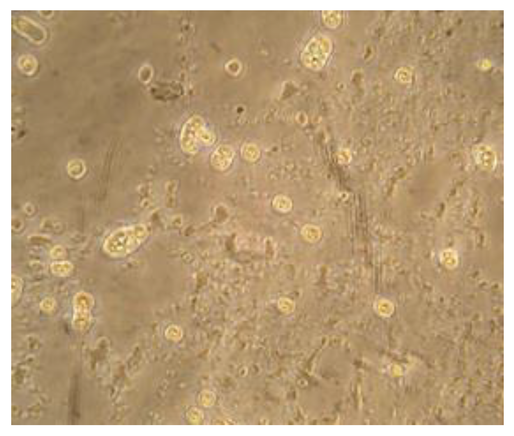 Ijerph 16 02648 g002