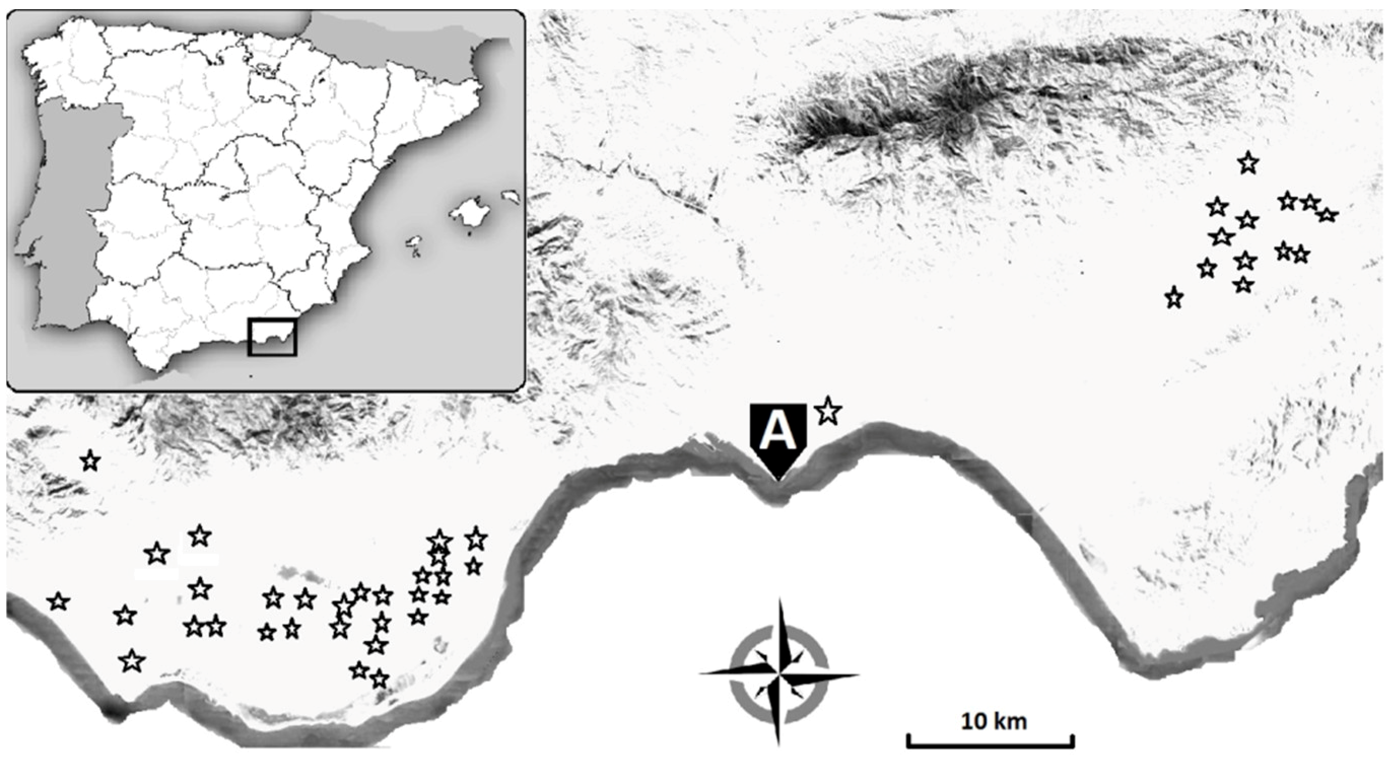 Ijerph 16 02673 g001