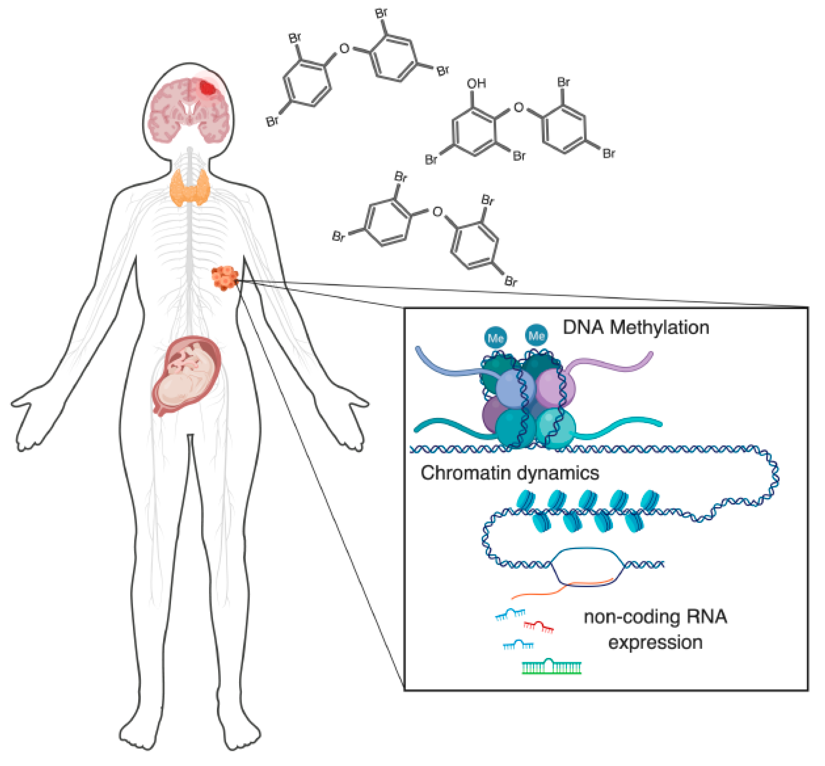 Ijerph 16 02703 g001 Ijerph 16 02703 g001