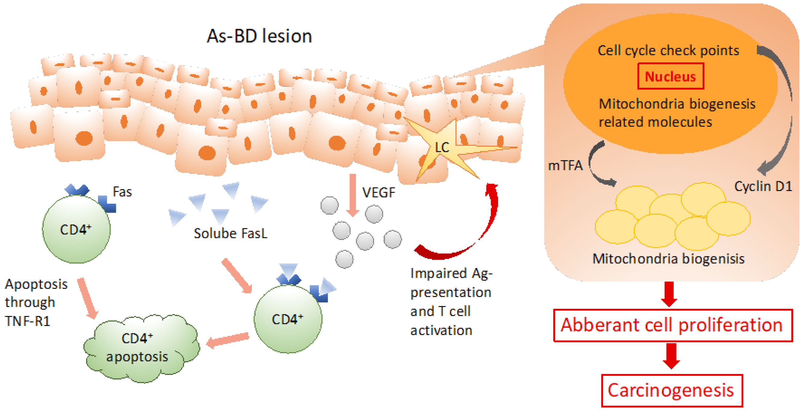 Ijerph 16 02746 g001