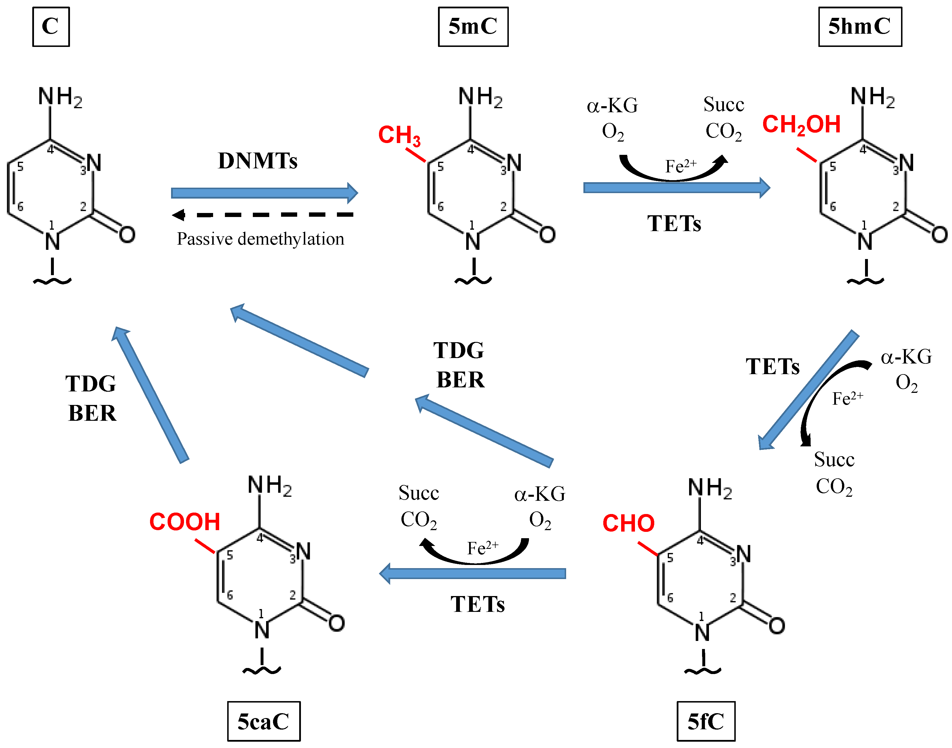 Ijerph 16 02791 g002
