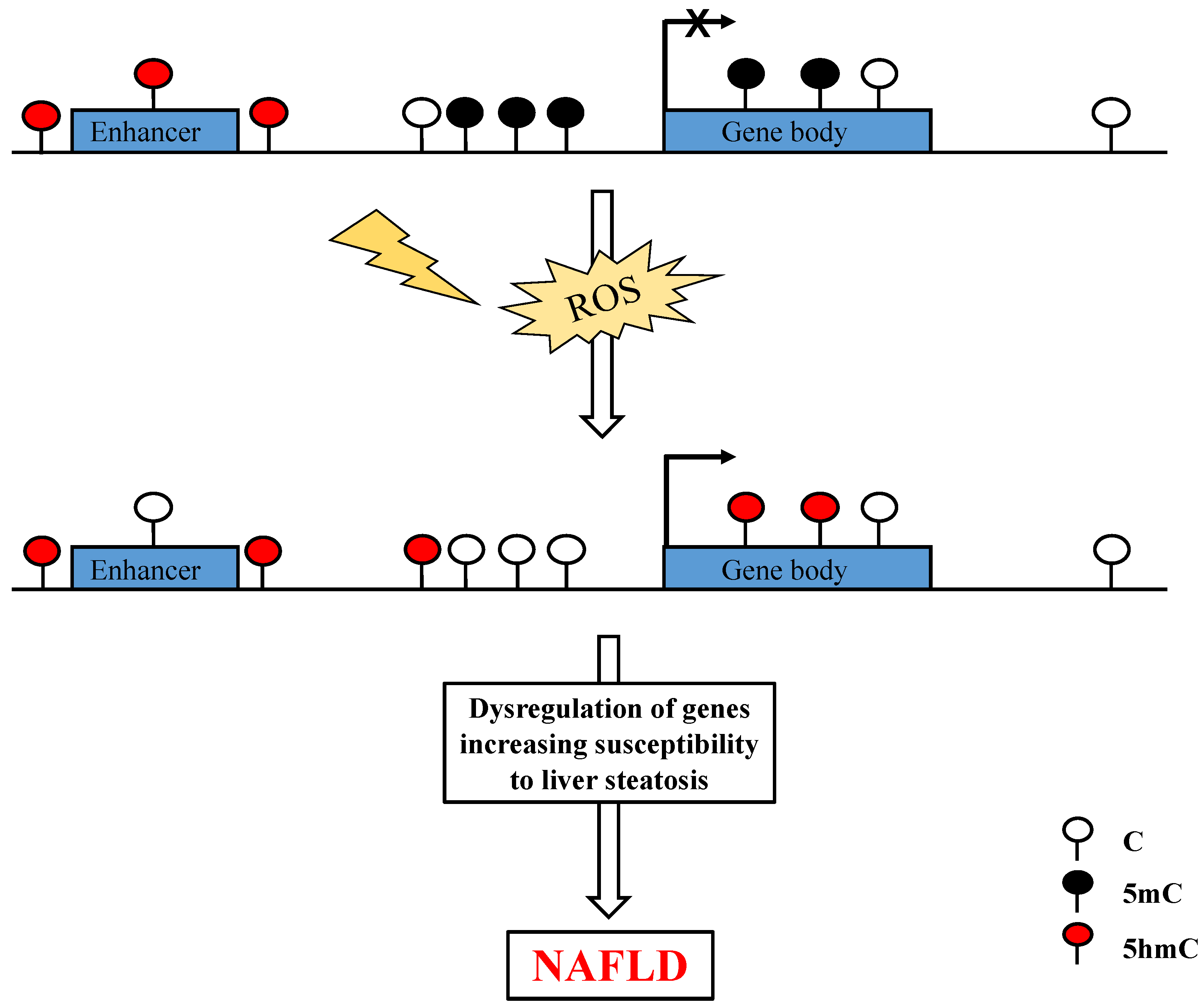 Ijerph 16 02791 g003