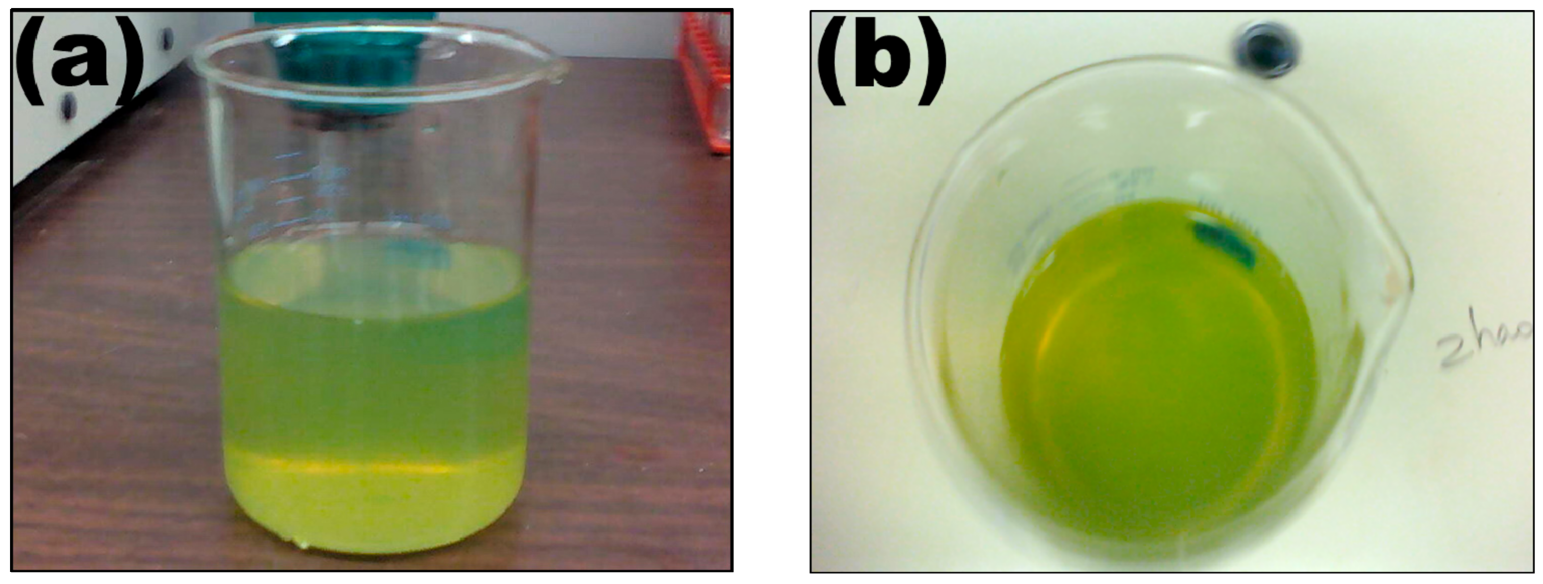 Ijerph 16 02808 g003