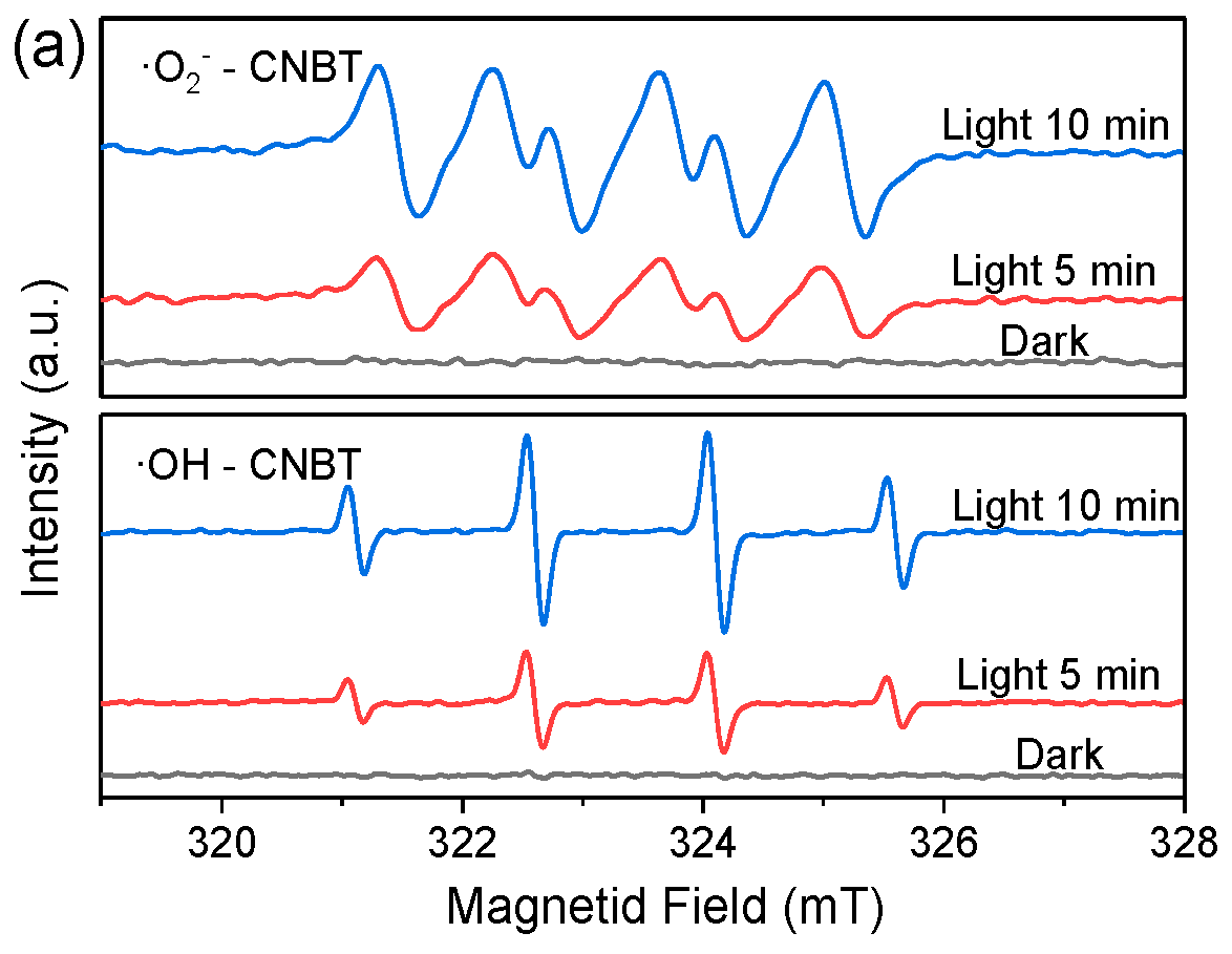 Ijerph 16 03219 g004a