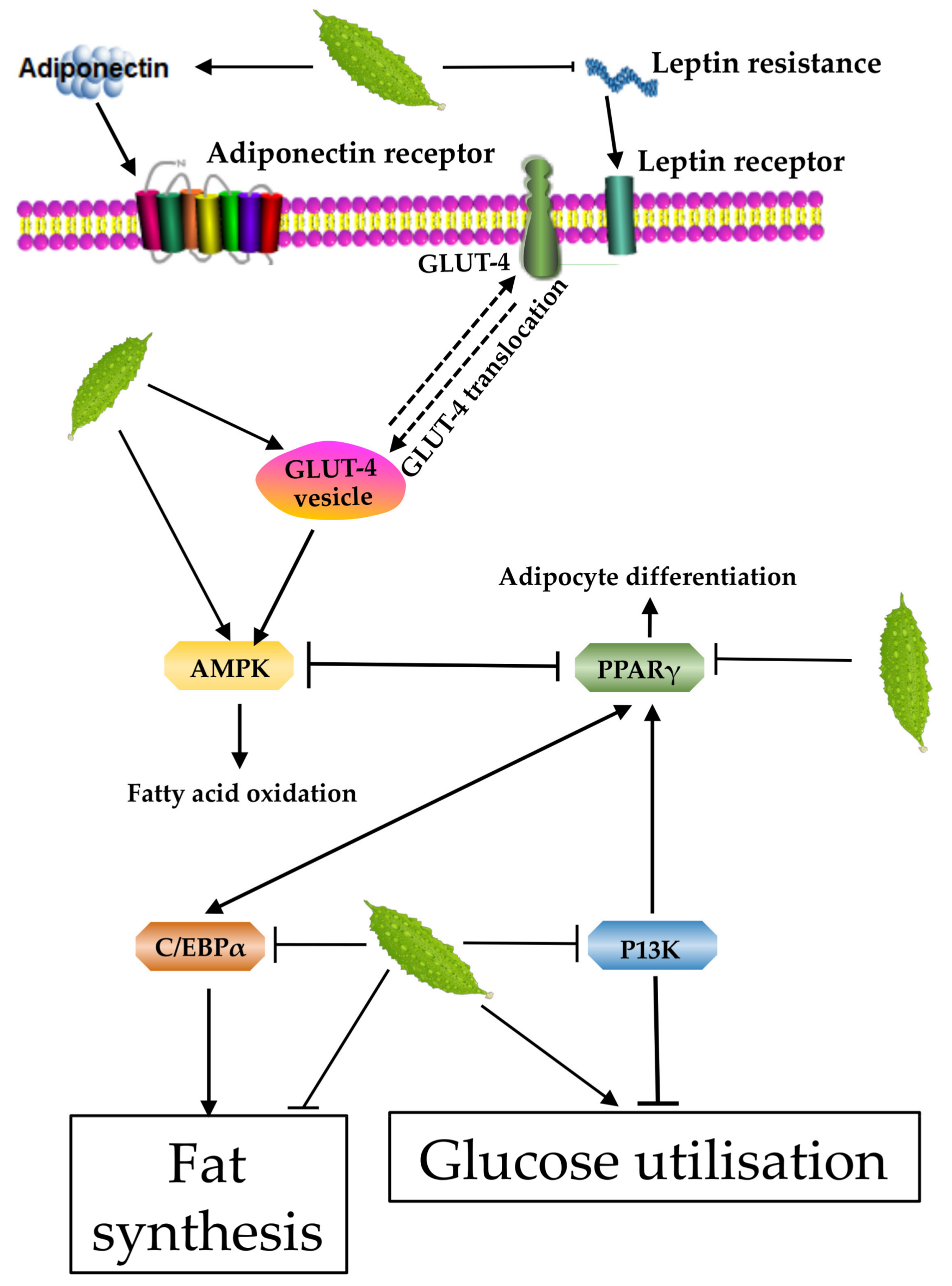 Ijerph 16 03251 g004