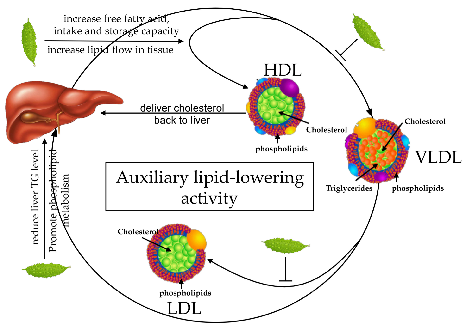Ijerph 16 03251 g005