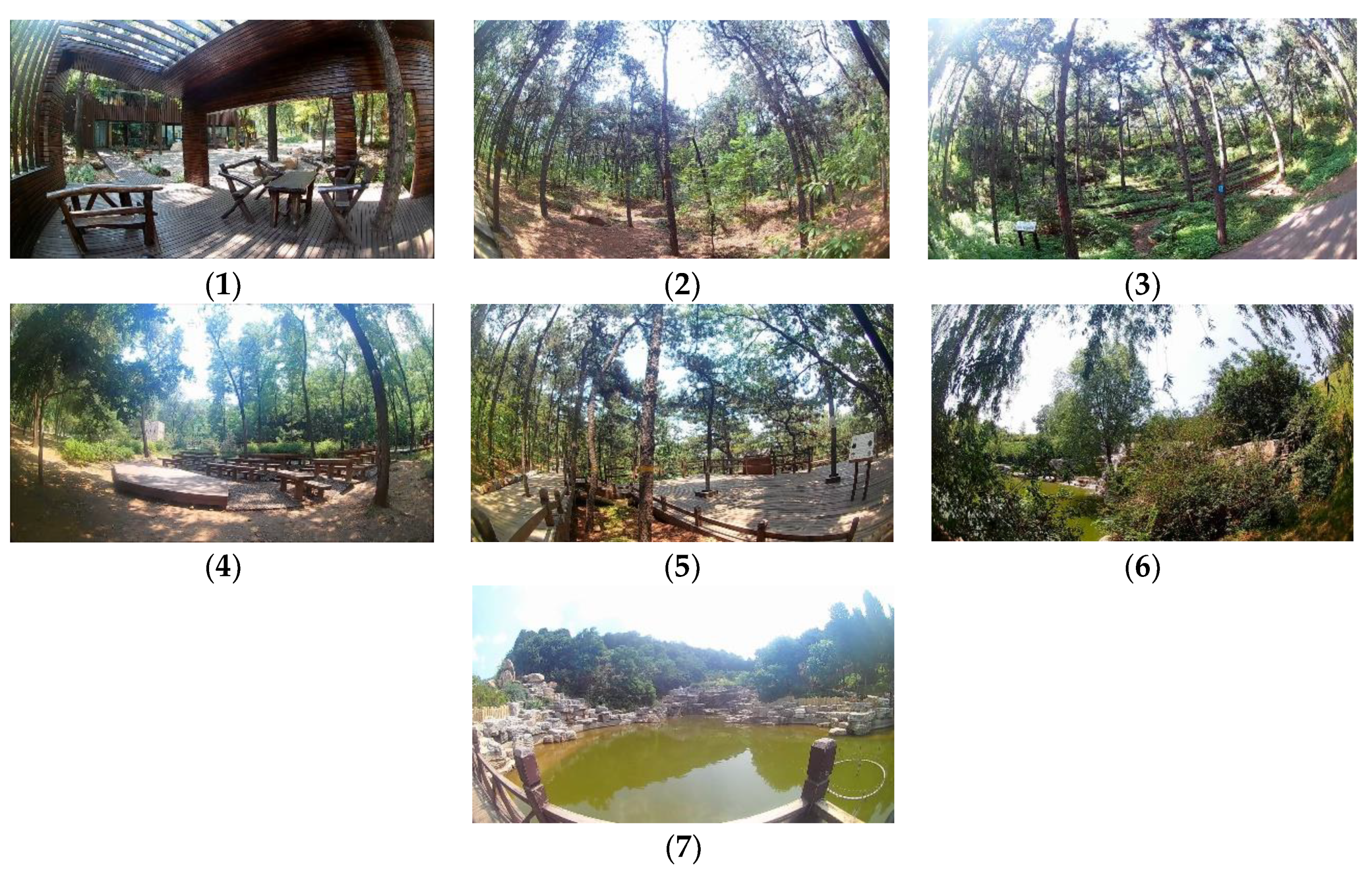 Ijerph 16 03263 g001