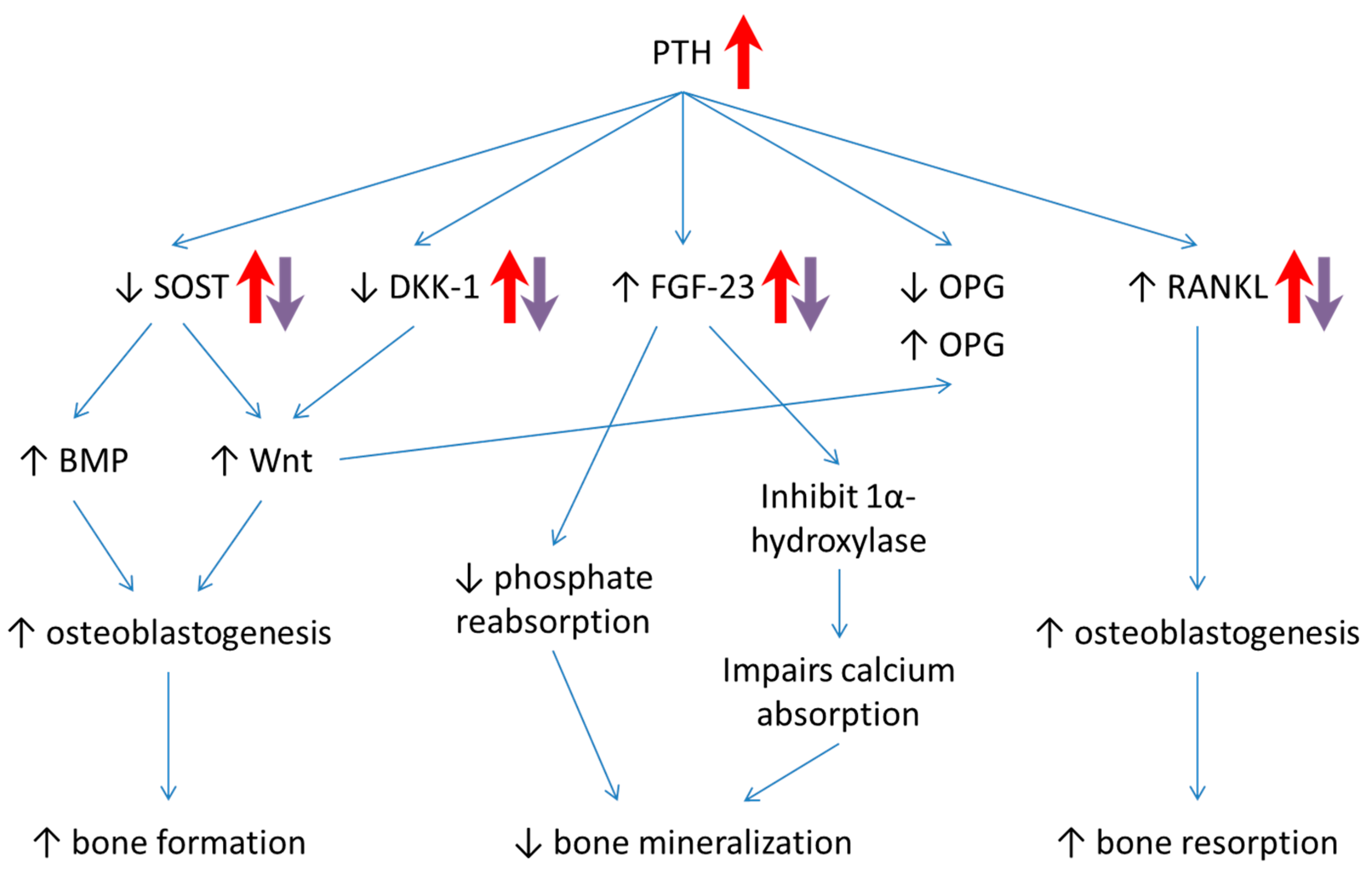 Ijerph 16 03313 g004 Ijerph 16 03313 g004
