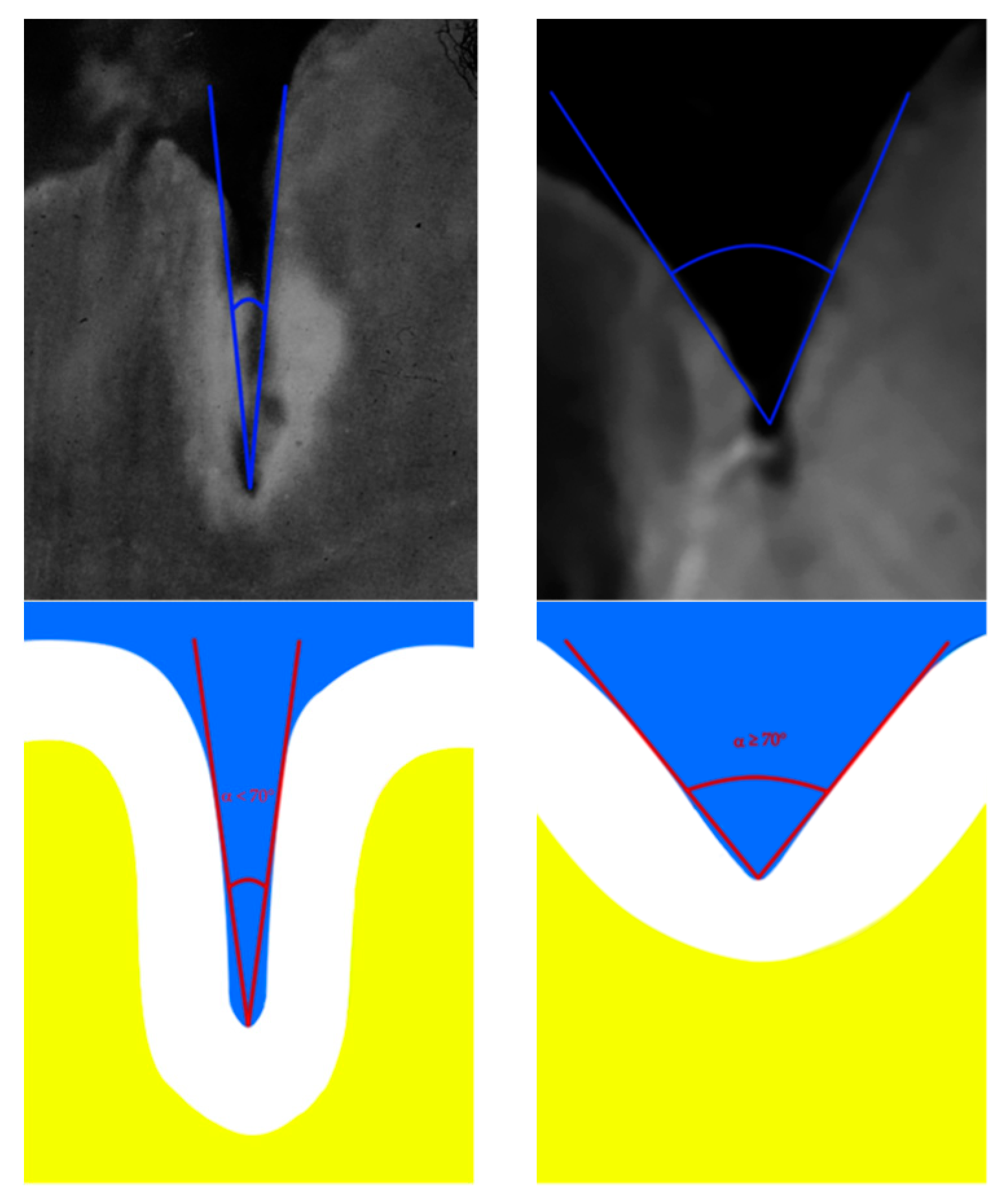 Ijerph 16 03550 g002