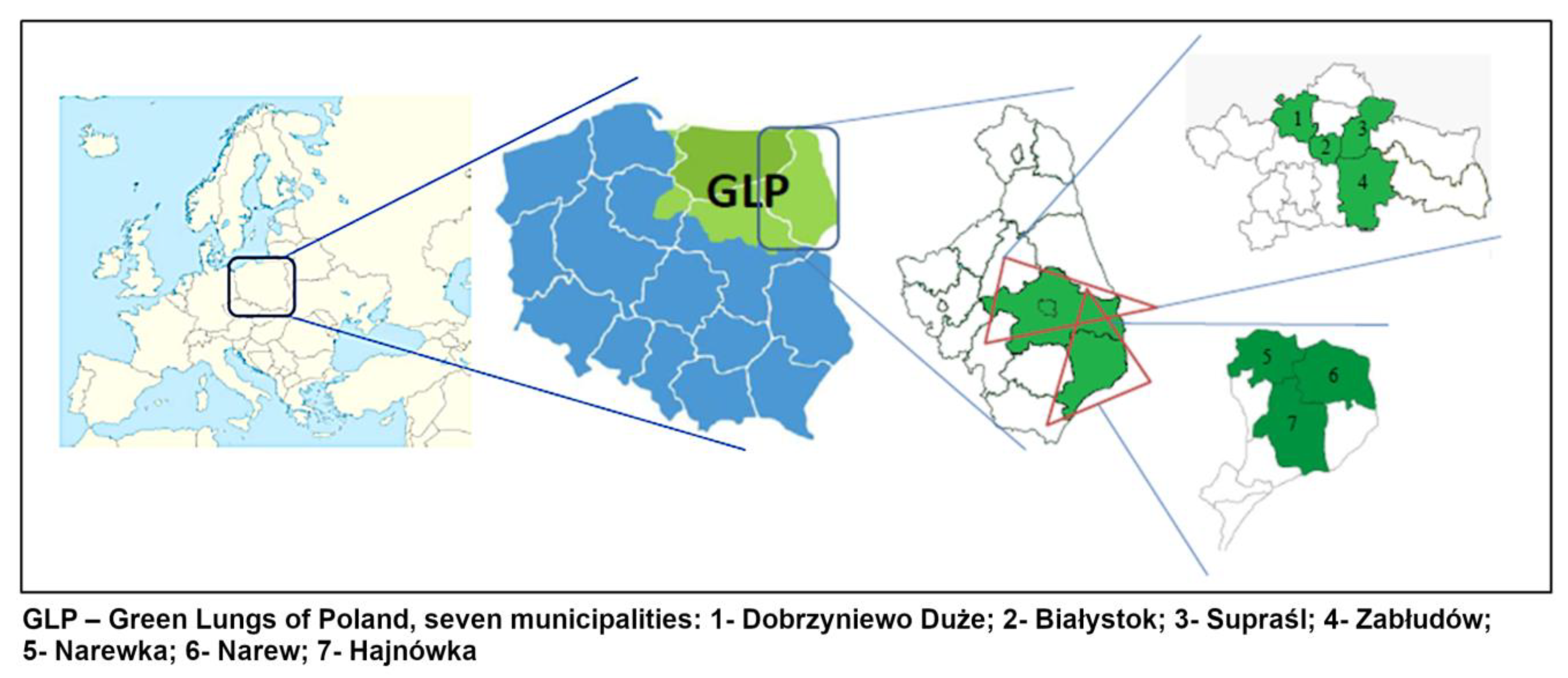 Ijerph 16 03614 g001