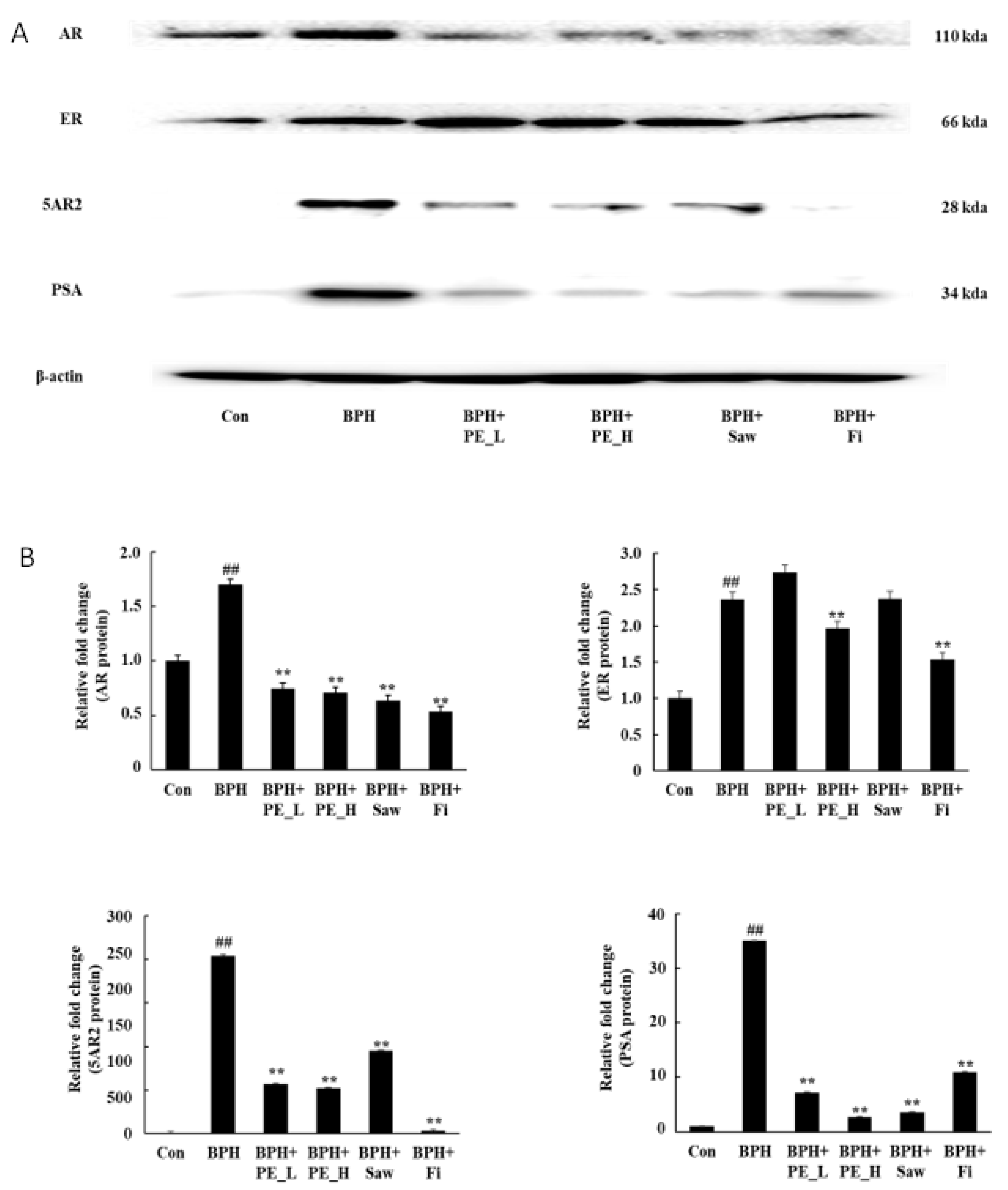 Ijerph 16 03764 g004