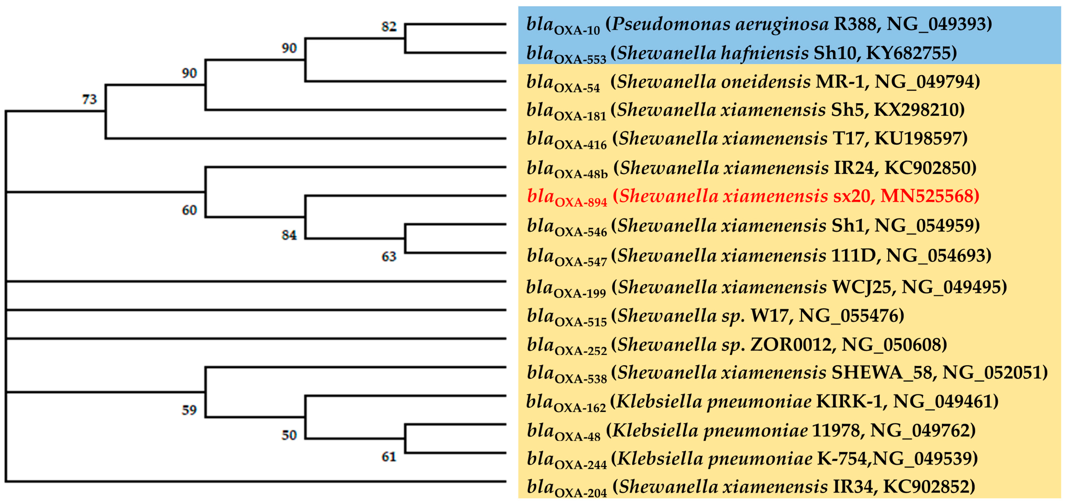 Ijerph 16 03768 g002