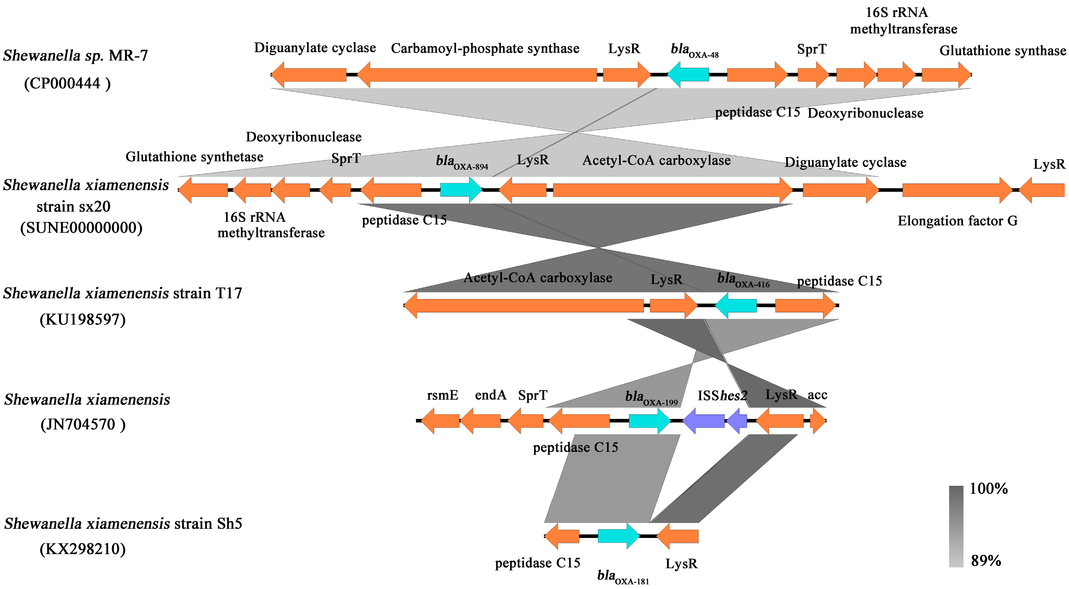 Ijerph 16 03768 g003